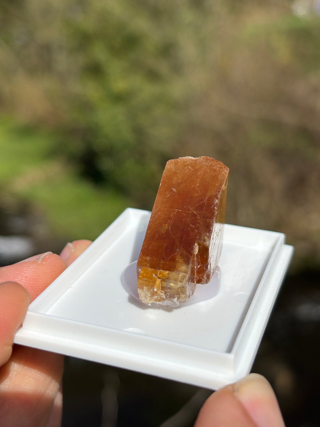 Honey Calcite Crystal | Natural Golden Healing Stone | Solar Plexus Energy Crystal | Raw Mineral Specimen