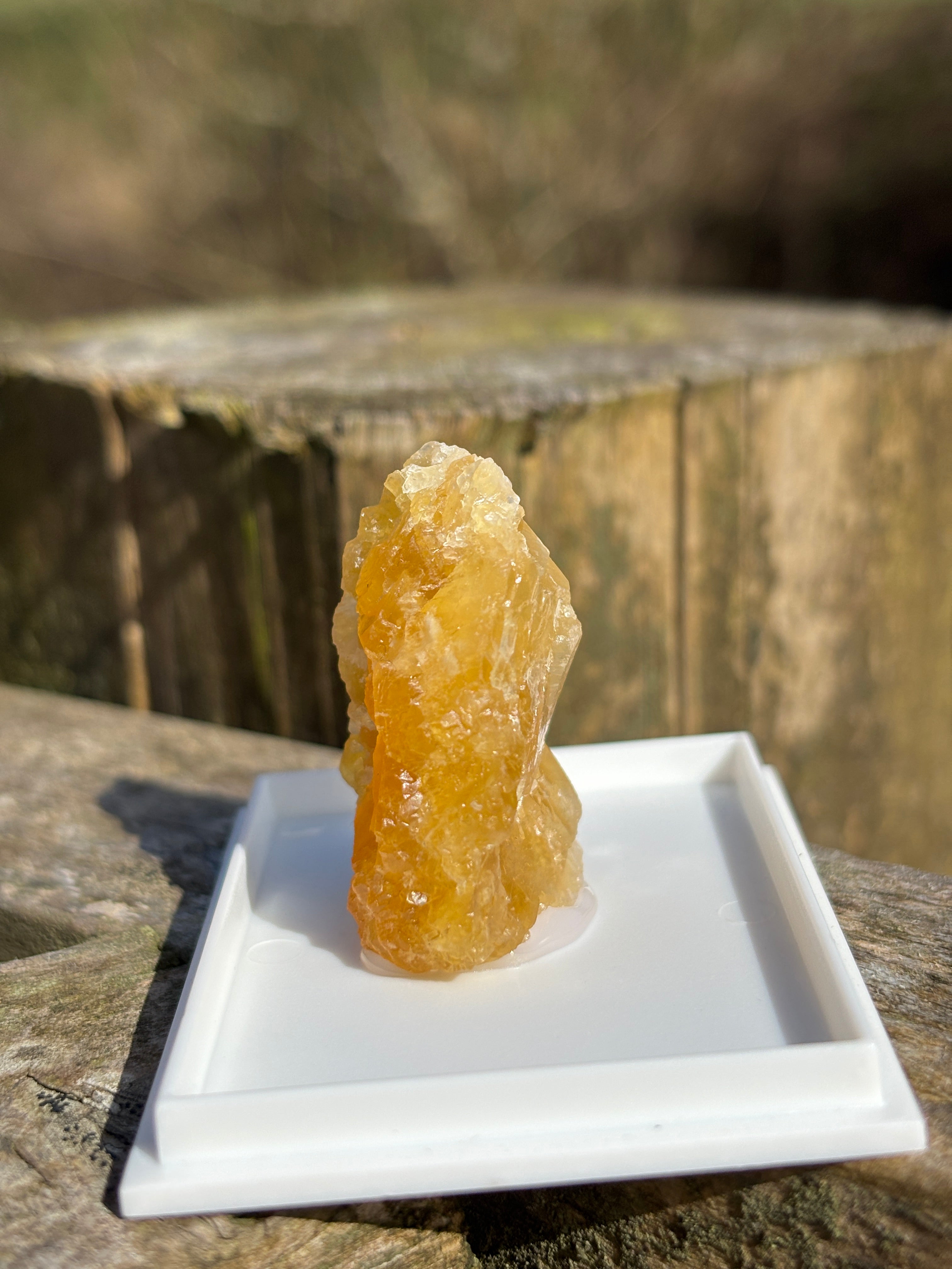 Orange Calcite Crystal | Raw Healing Stone | Sacral Chakra Energy | Natural Orange Mineral | Crystal Decor