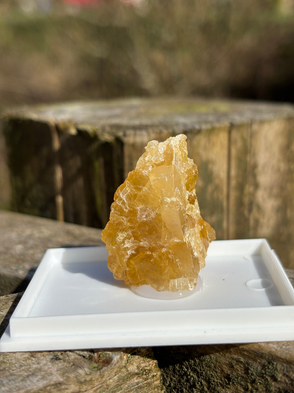 Orange Calcite Crystal | Raw Healing Stone | Sacral Chakra Energy | Natural Orange Mineral | Crystal Decor