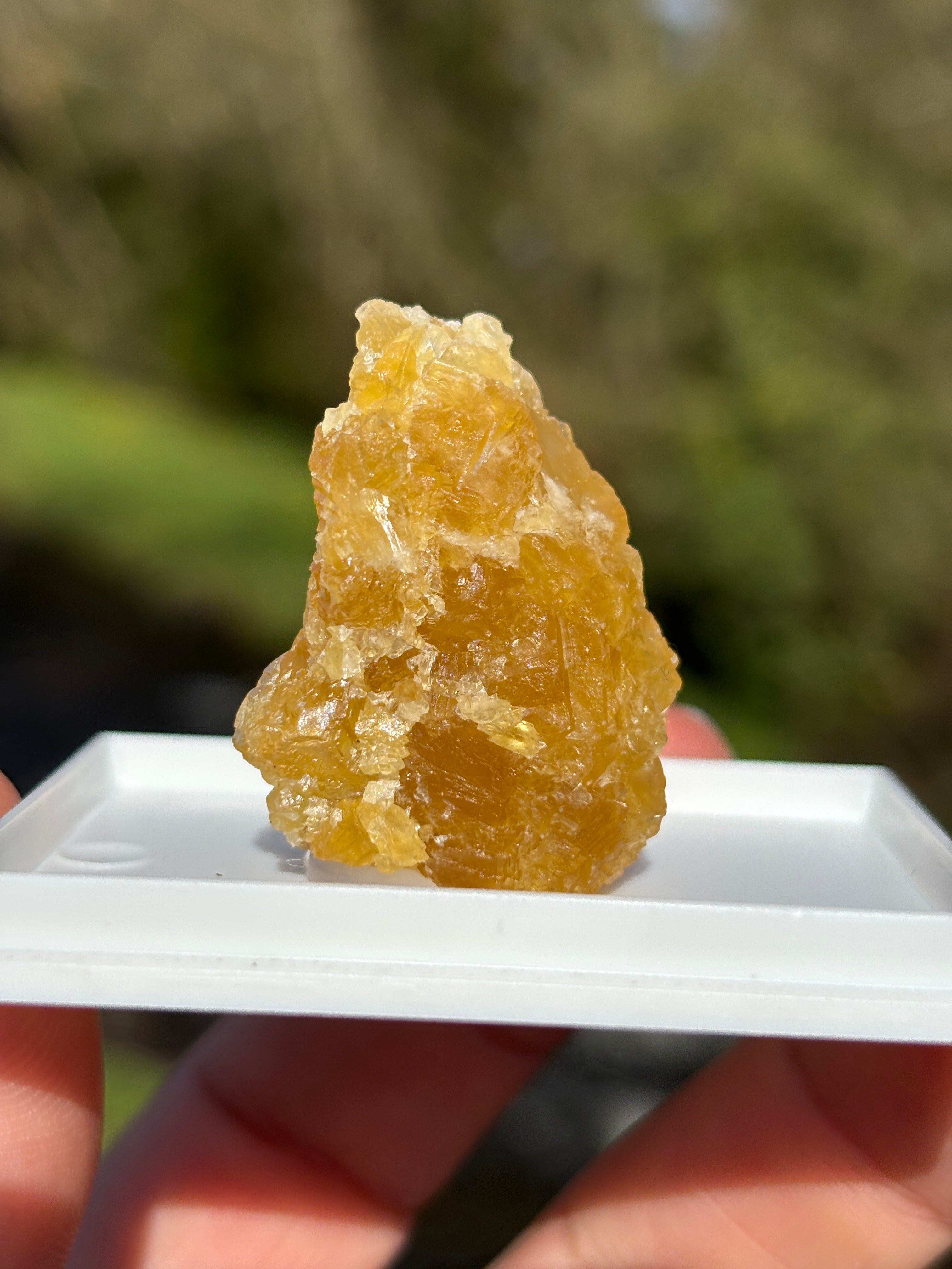 Orange Calcite Crystal | Raw Healing Stone | Sacral Chakra Energy | Natural Orange Mineral | Crystal Decor