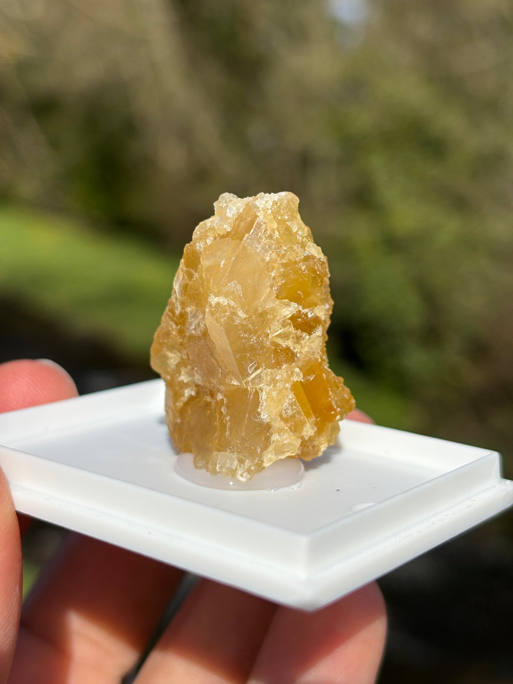 Orange Calcite Crystal | Raw Healing Stone | Sacral Chakra Energy | Natural Orange Mineral | Crystal Decor