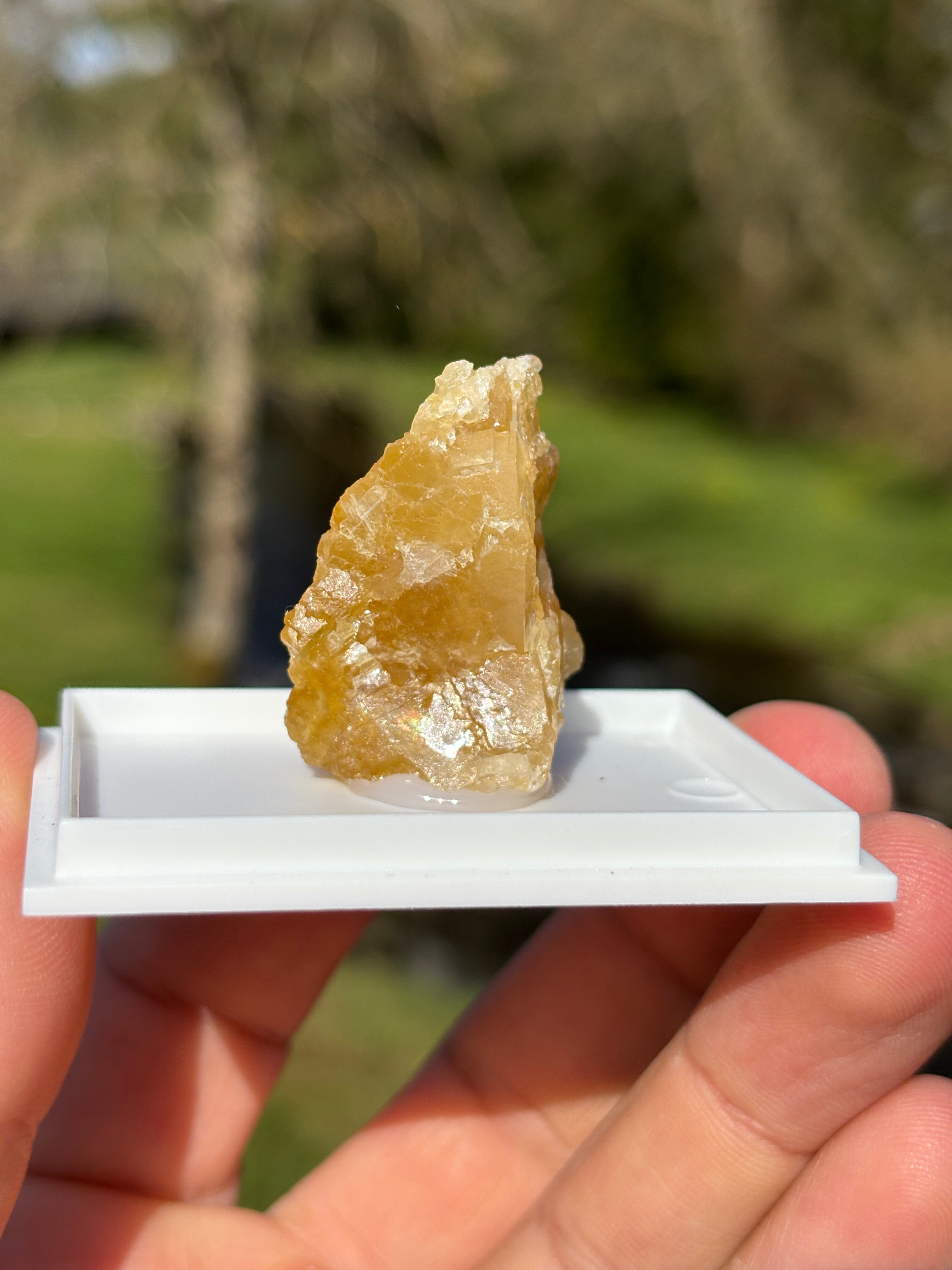 Orange Calcite Crystal | Raw Healing Stone | Sacral Chakra Energy | Natural Orange Mineral | Crystal Decor