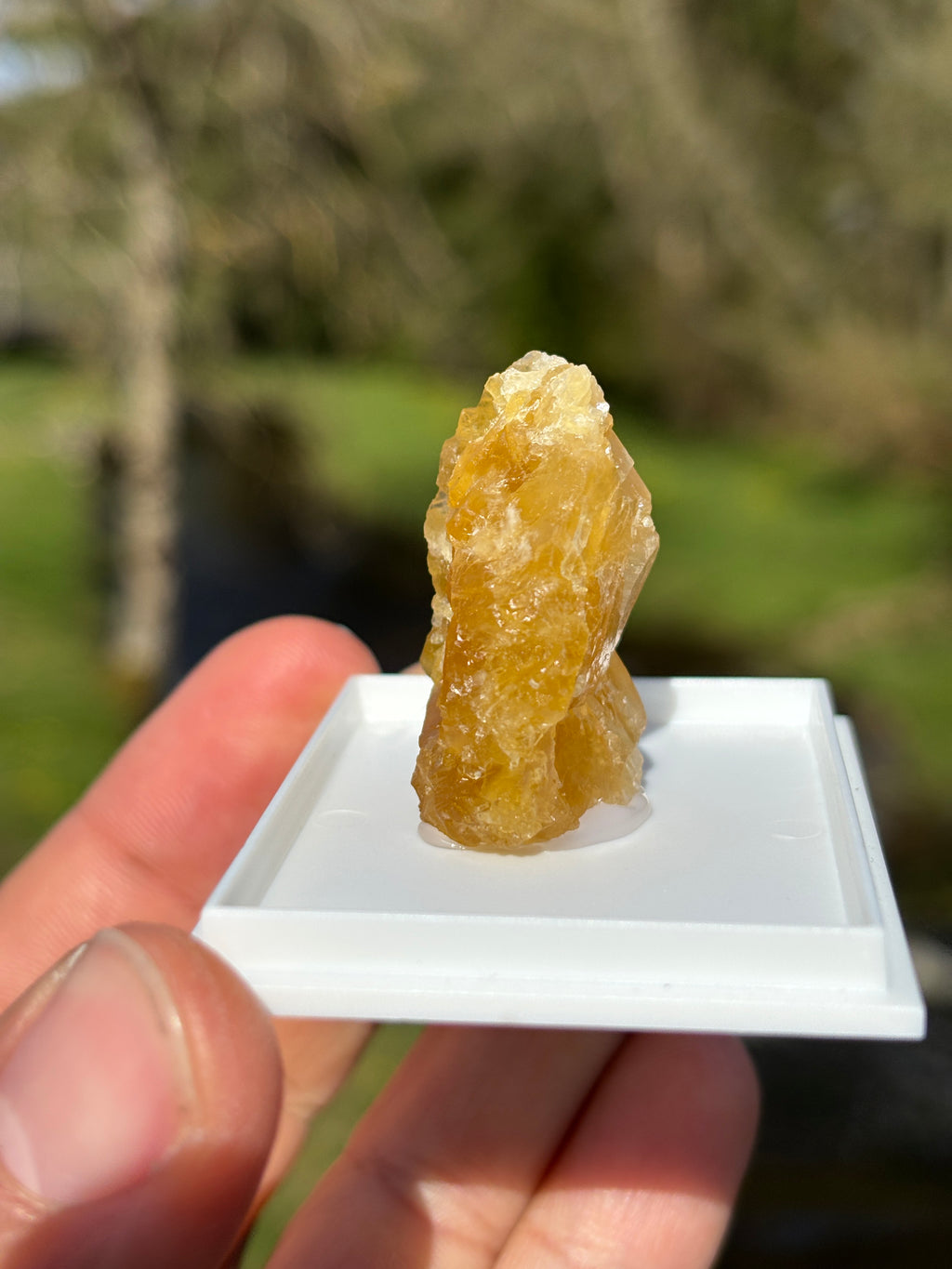 Orange Calcite Crystal | Raw Healing Stone | Sacral Chakra Energy | Natural Orange Mineral | Crystal Decor