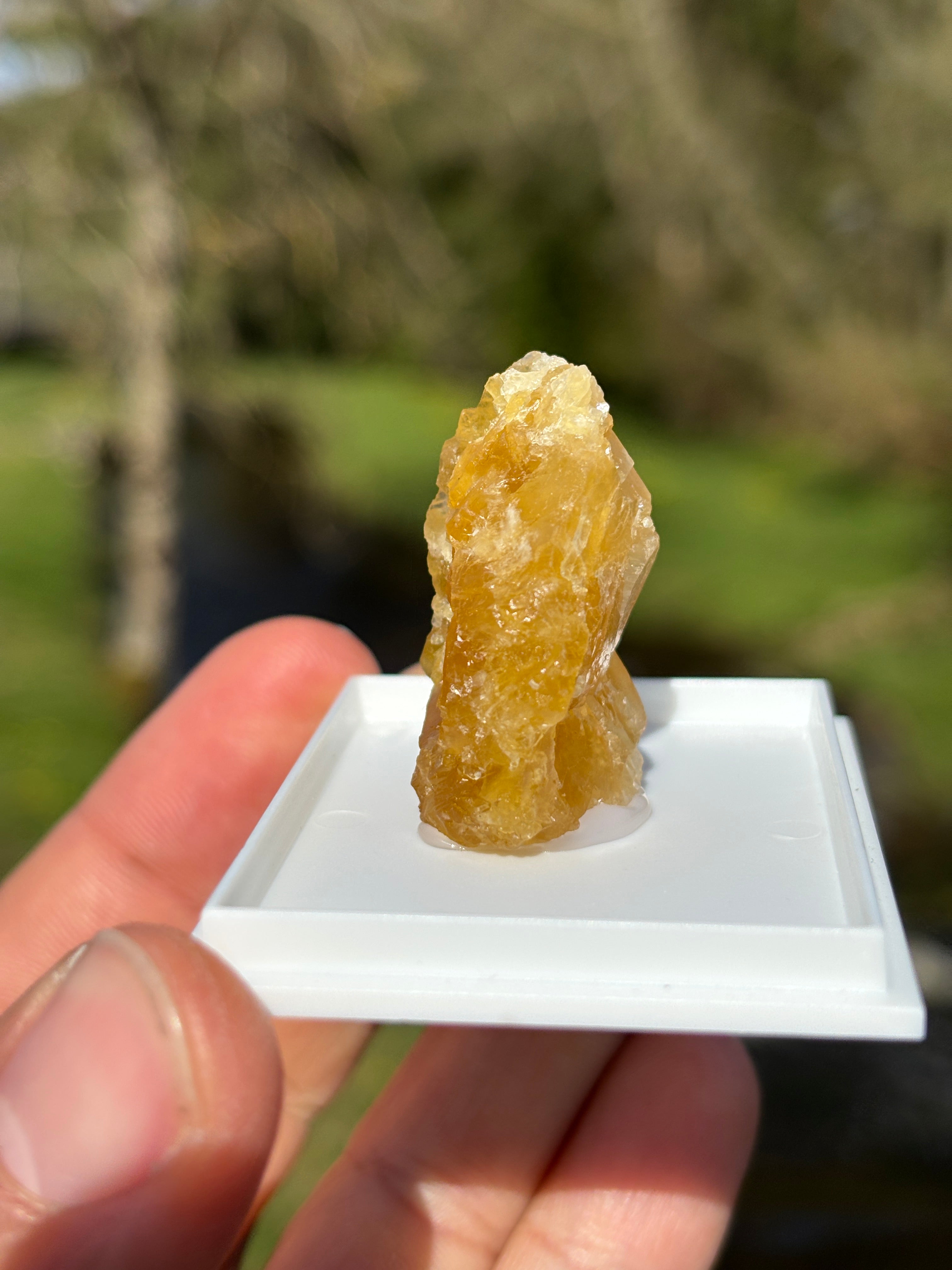 Orange Calcite Crystal | Raw Healing Stone | Sacral Chakra Energy | Natural Orange Mineral | Crystal Decor