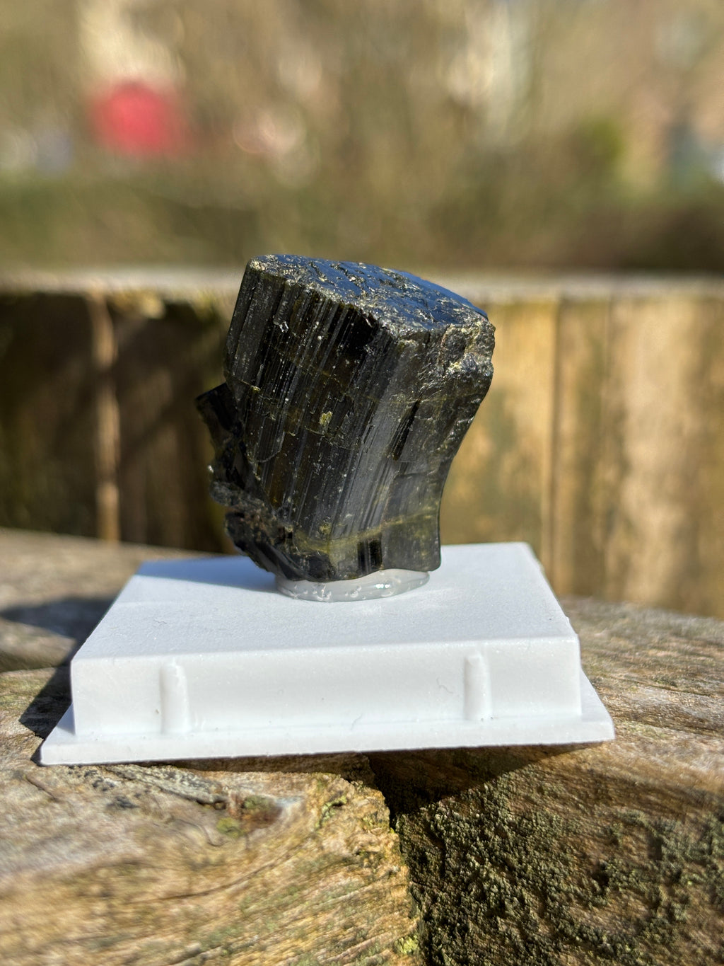 Epidote Crystal | Natural Green Healing Stone | Transformation Mineral | Raw Collector Specimen