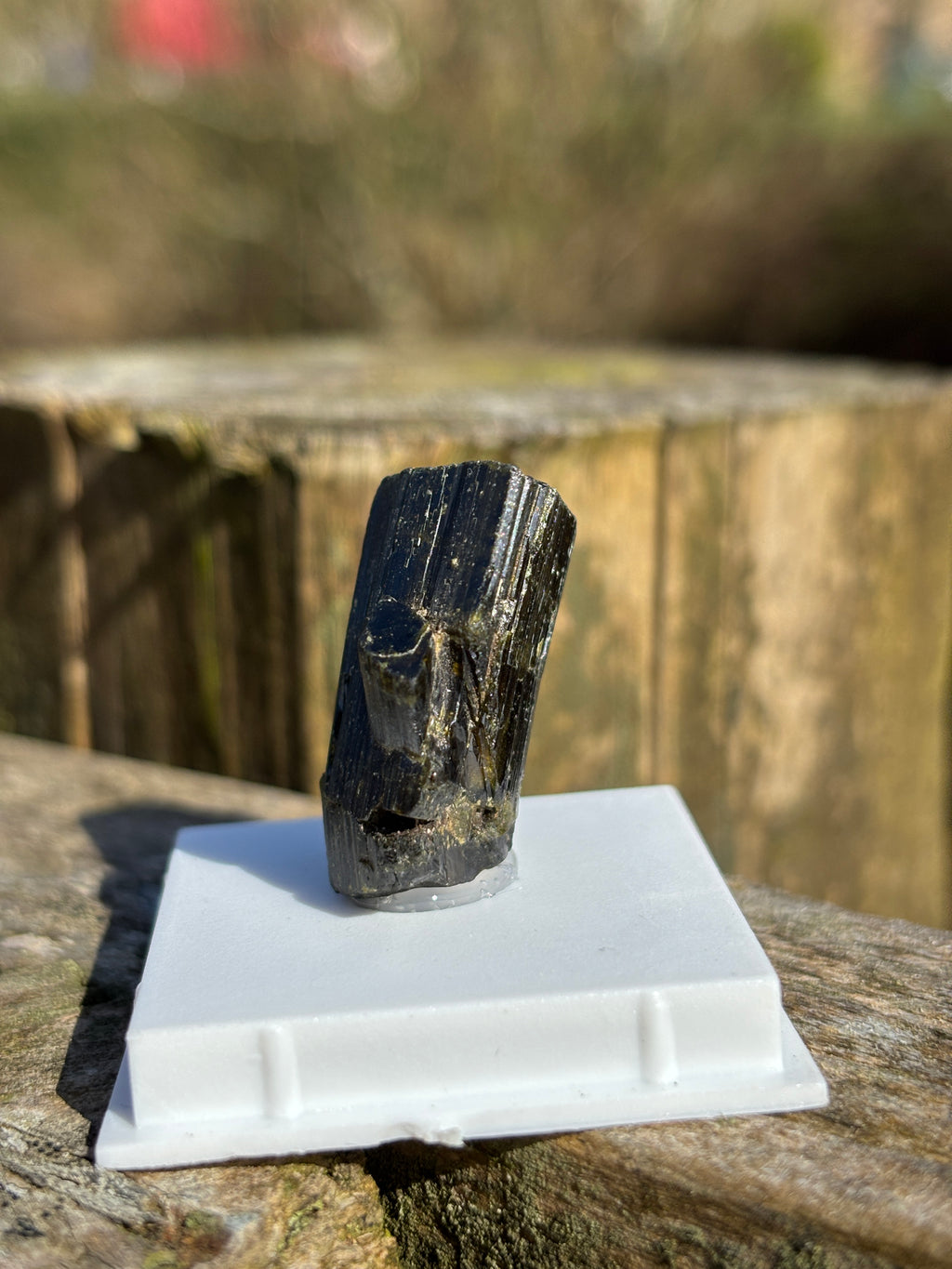 Epidote Crystal | Natural Green Healing Stone | Transformation Mineral | Raw Collector Specimen