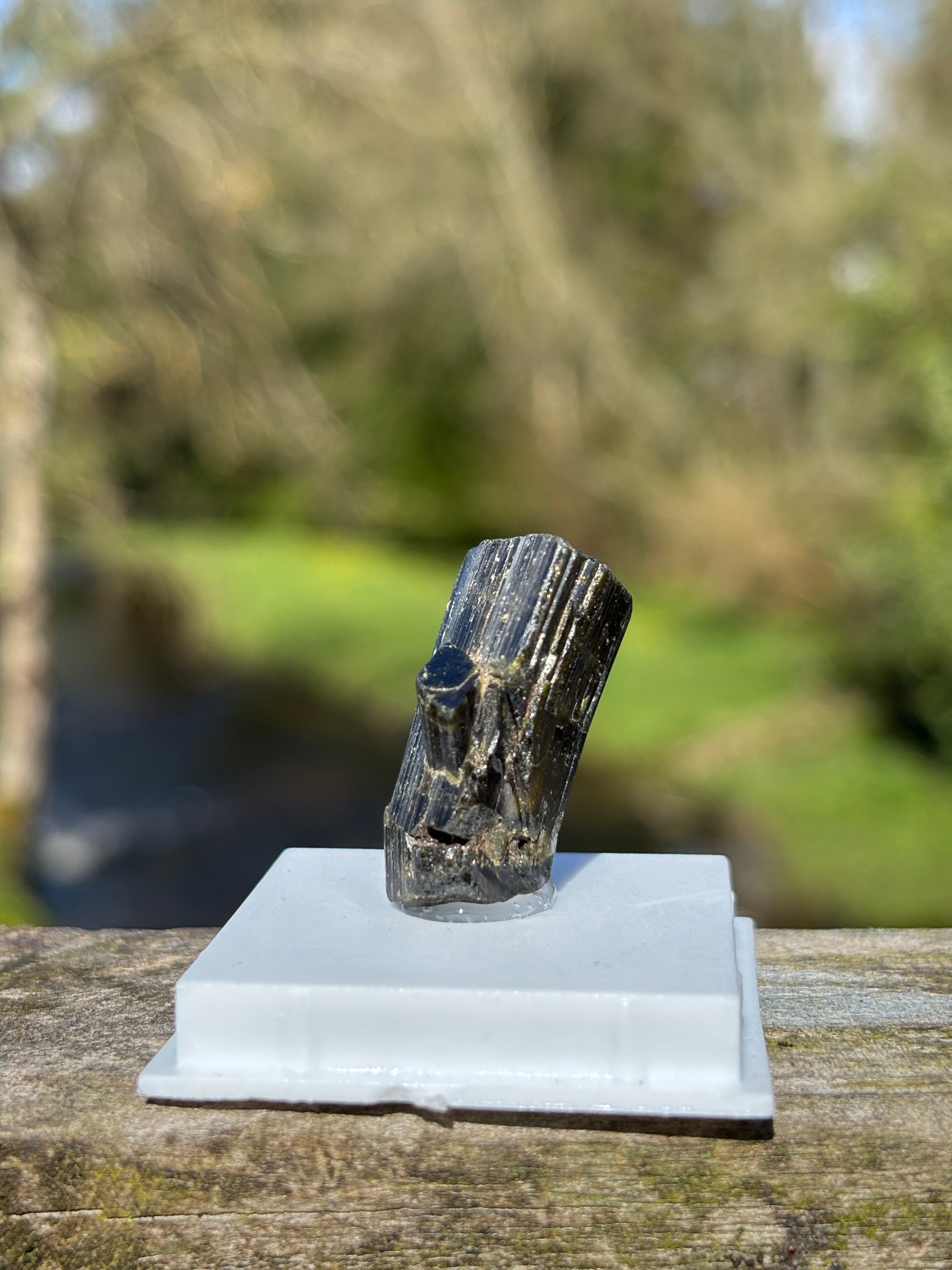Epidote Crystal | Natural Green Healing Stone | Transformation Mineral | Raw Collector Specimen