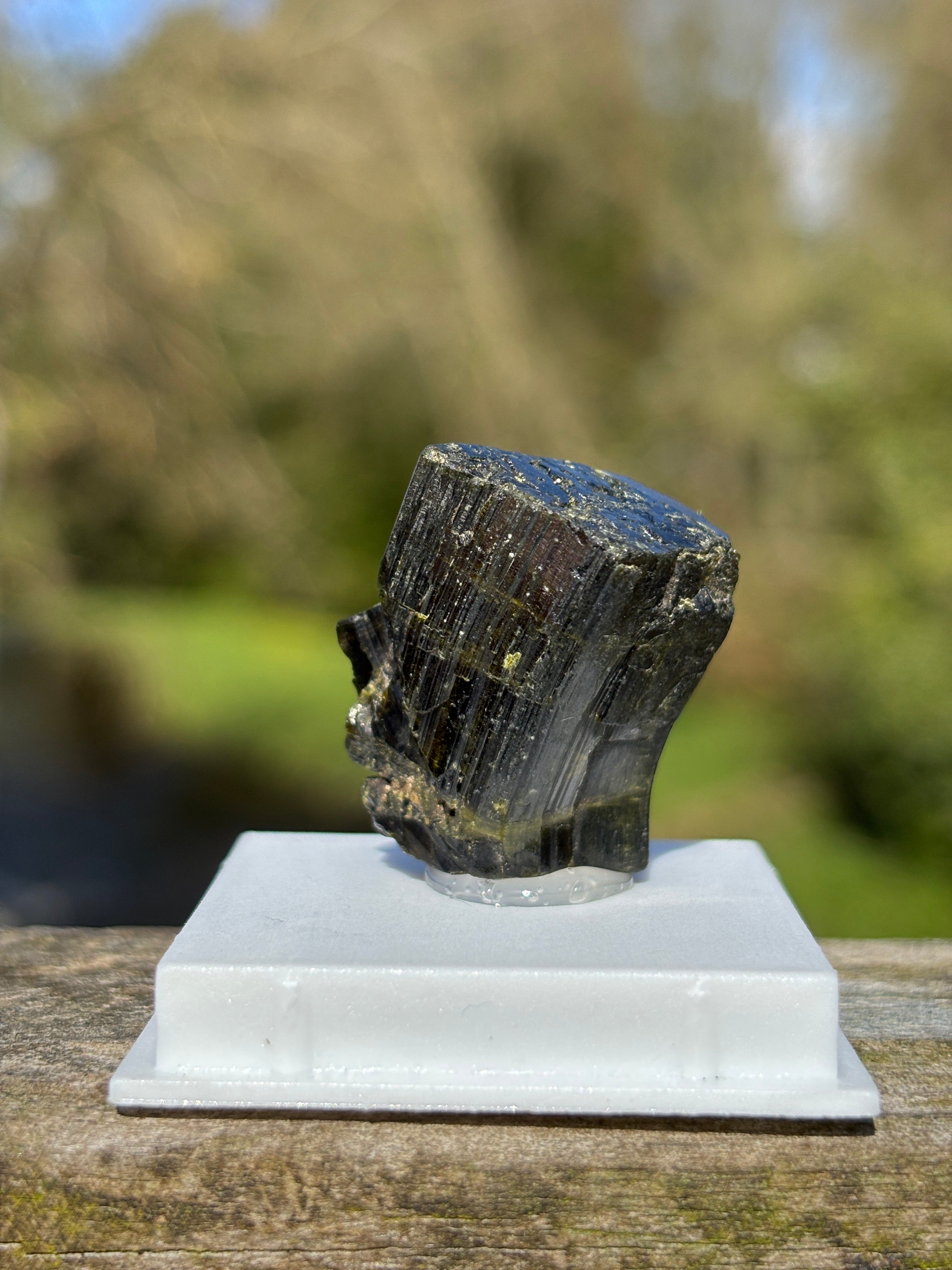 Epidote Crystal | Natural Green Healing Stone | Transformation Mineral | Raw Collector Specimen