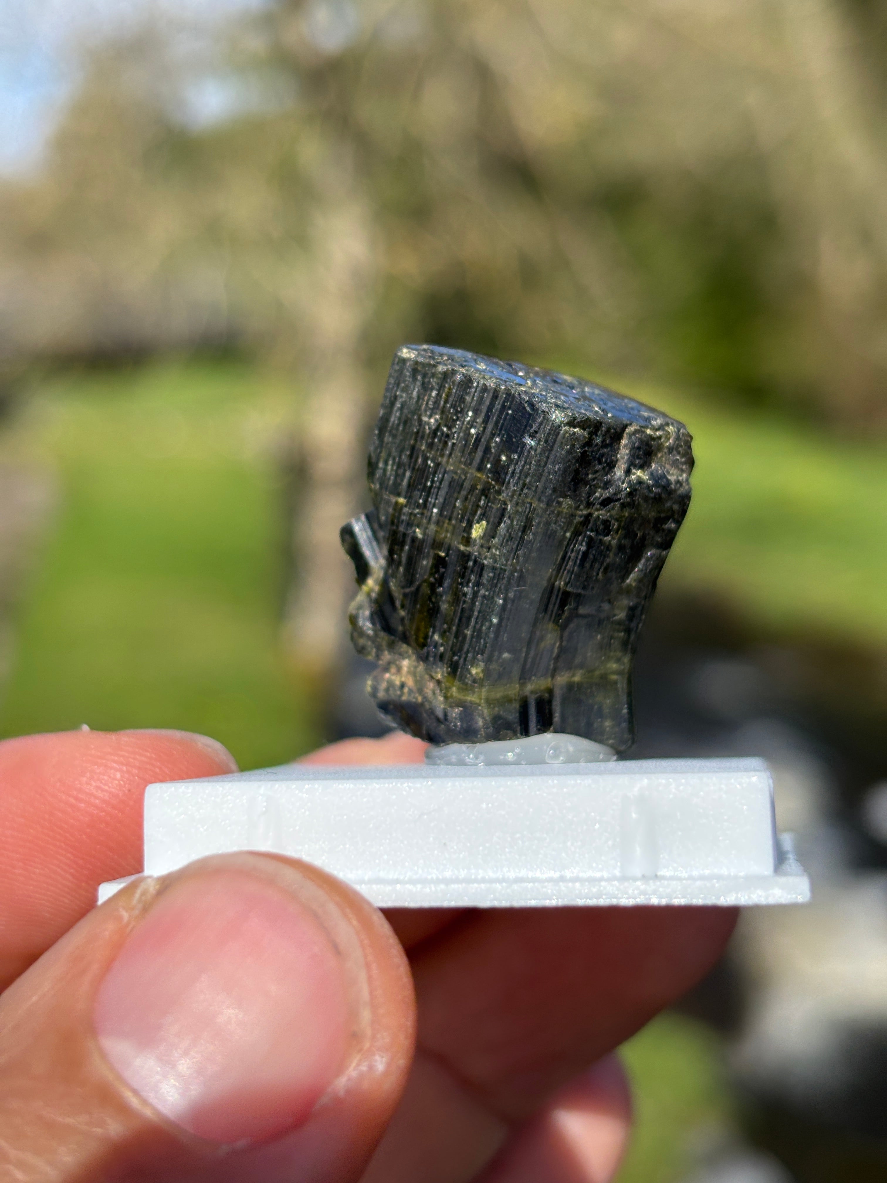 Epidote Crystal | Natural Green Healing Stone | Transformation Mineral | Raw Collector Specimen