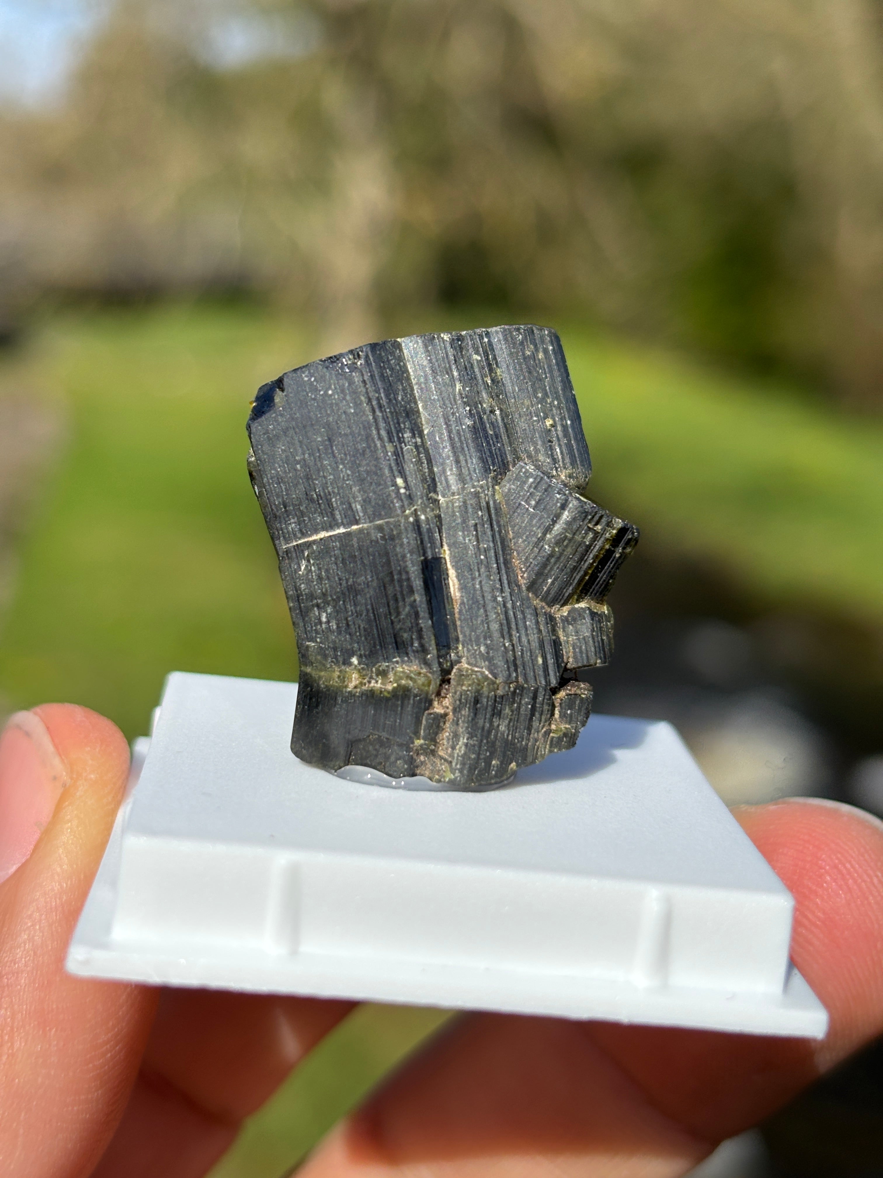 Epidote Crystal | Natural Green Healing Stone | Transformation Mineral | Raw Collector Specimen