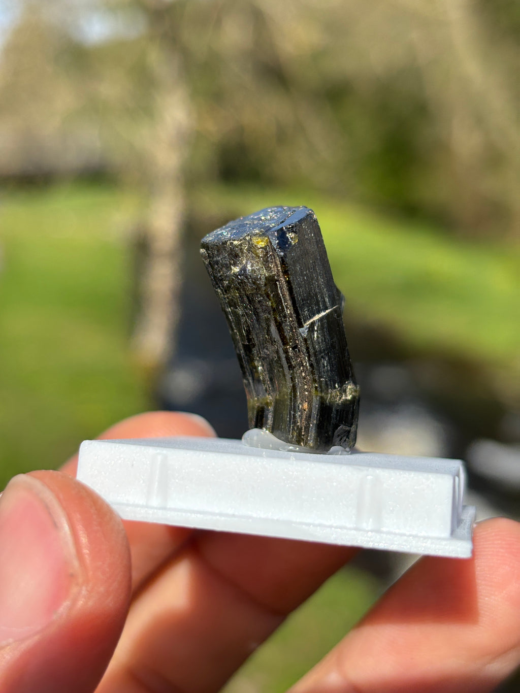 Epidote Crystal | Natural Green Healing Stone | Transformation Mineral | Raw Collector Specimen