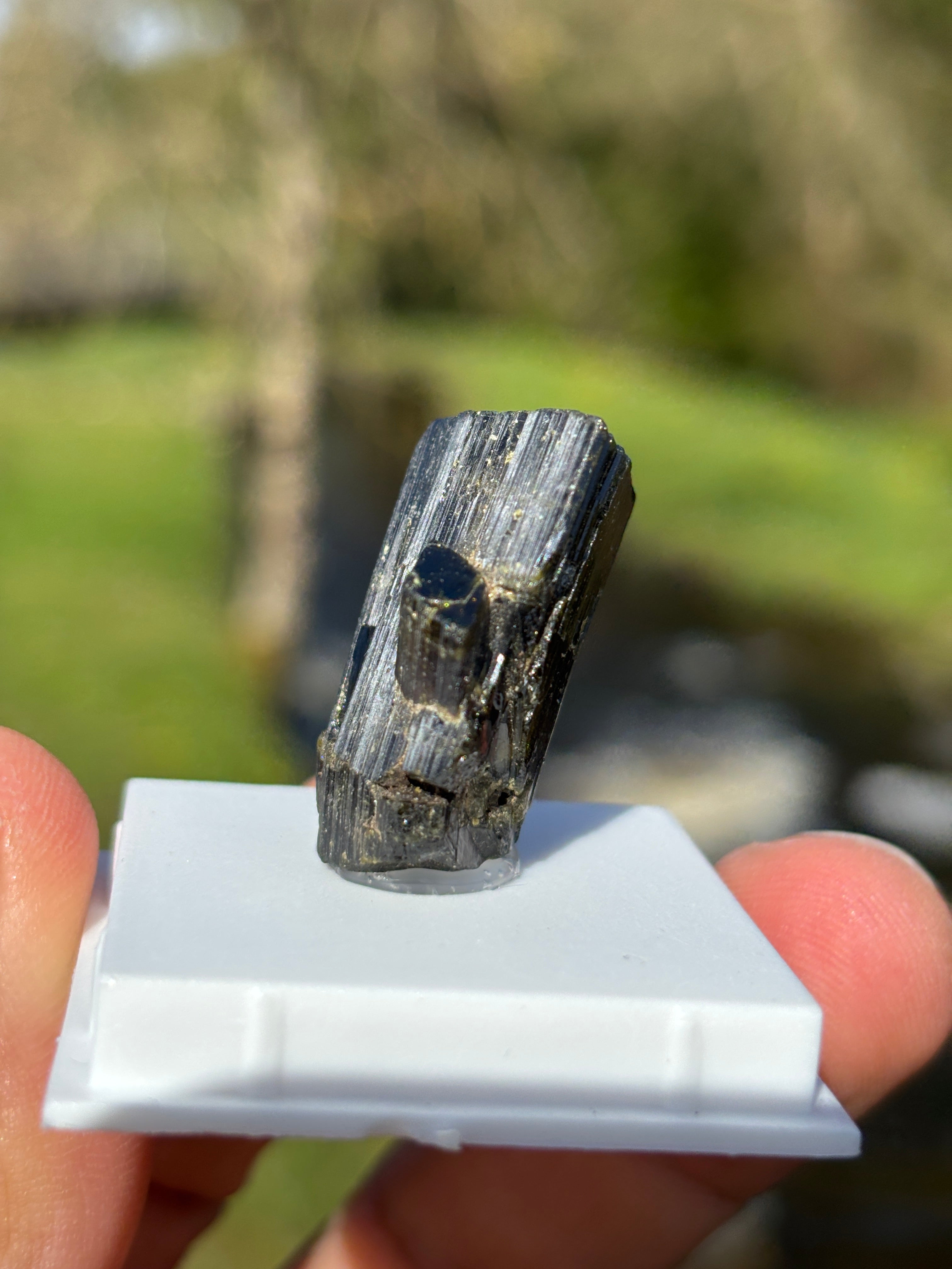 Epidote Crystal | Natural Green Healing Stone | Transformation Mineral | Raw Collector Specimen