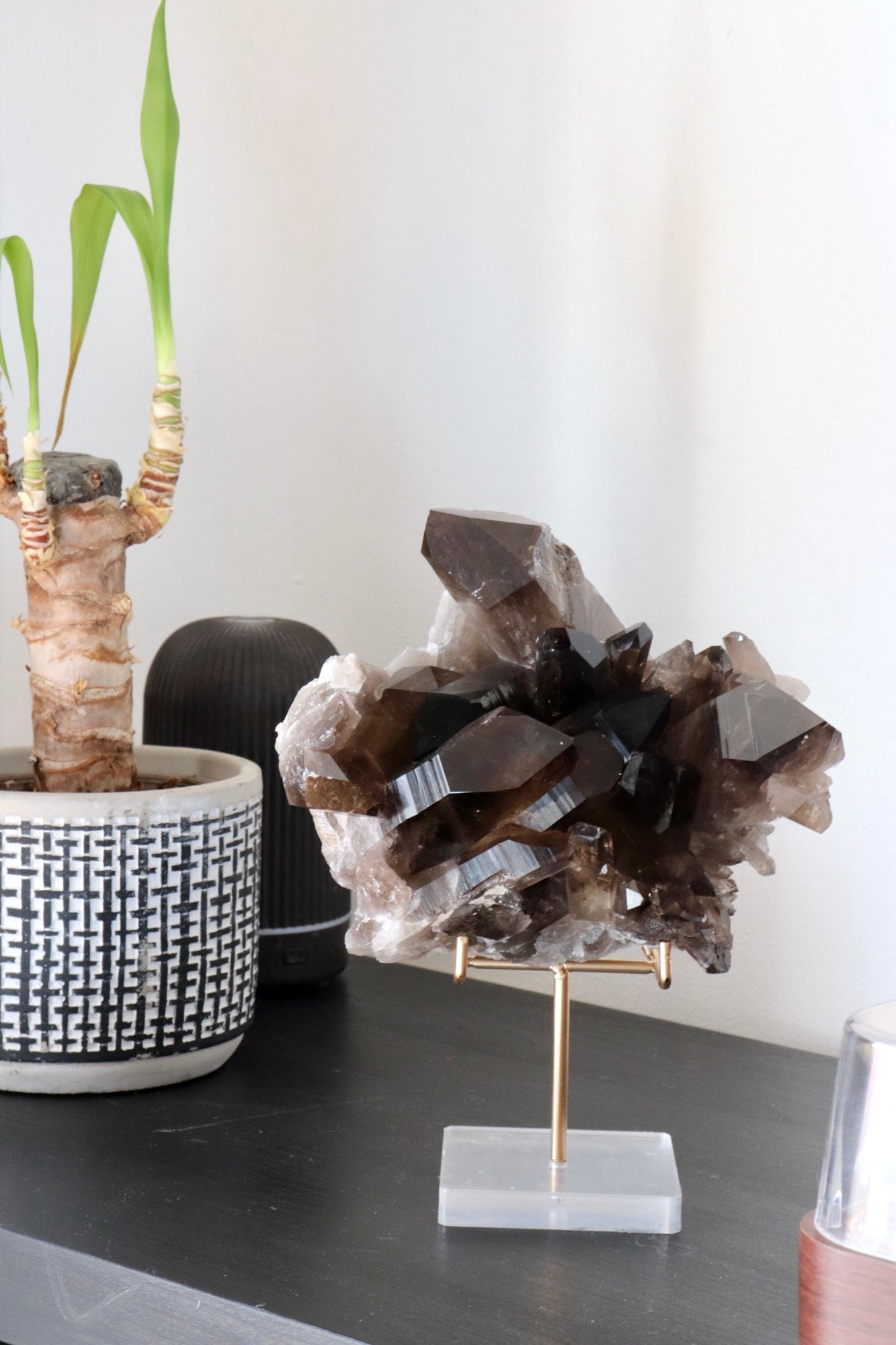 Smoky Lemurian Quartz Druzy with Stand | Rare Brazilian Crystal | Collector Display Piece | Large Statement Mineral