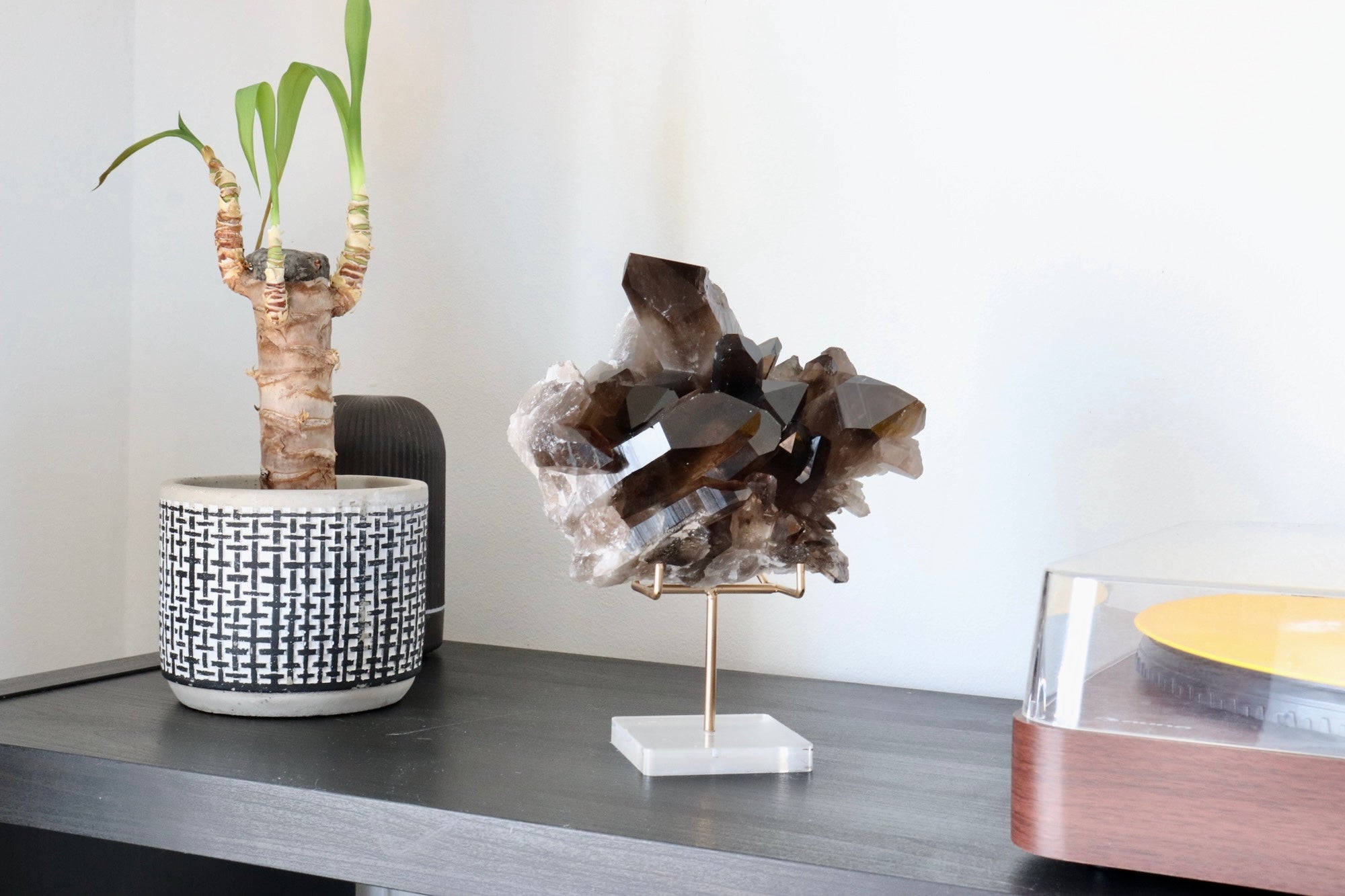 Smoky Lemurian Quartz Druzy with Stand | Rare Brazilian Crystal | Collector Display Piece | Large Statement Mineral