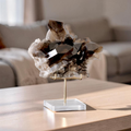 Smoky Lemurian Quartz Druzy with Stand | Rare Brazilian Crystal | Collector Display Piece | Large Statement Mineral