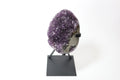 Natural Amethyst Geode on Stand | Premium Brazilian Crystal Display | Large Collector Mineral | Luxury Home Decor