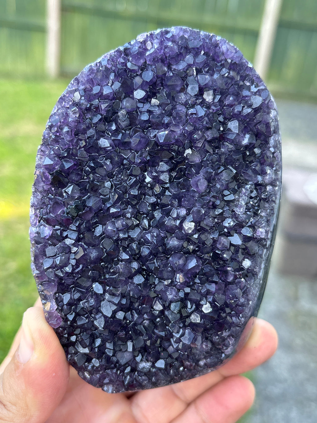 Natural Amethyst Geode on Stand | Premium Brazilian Crystal Display | Large Collector Mineral | Luxury Home Decor