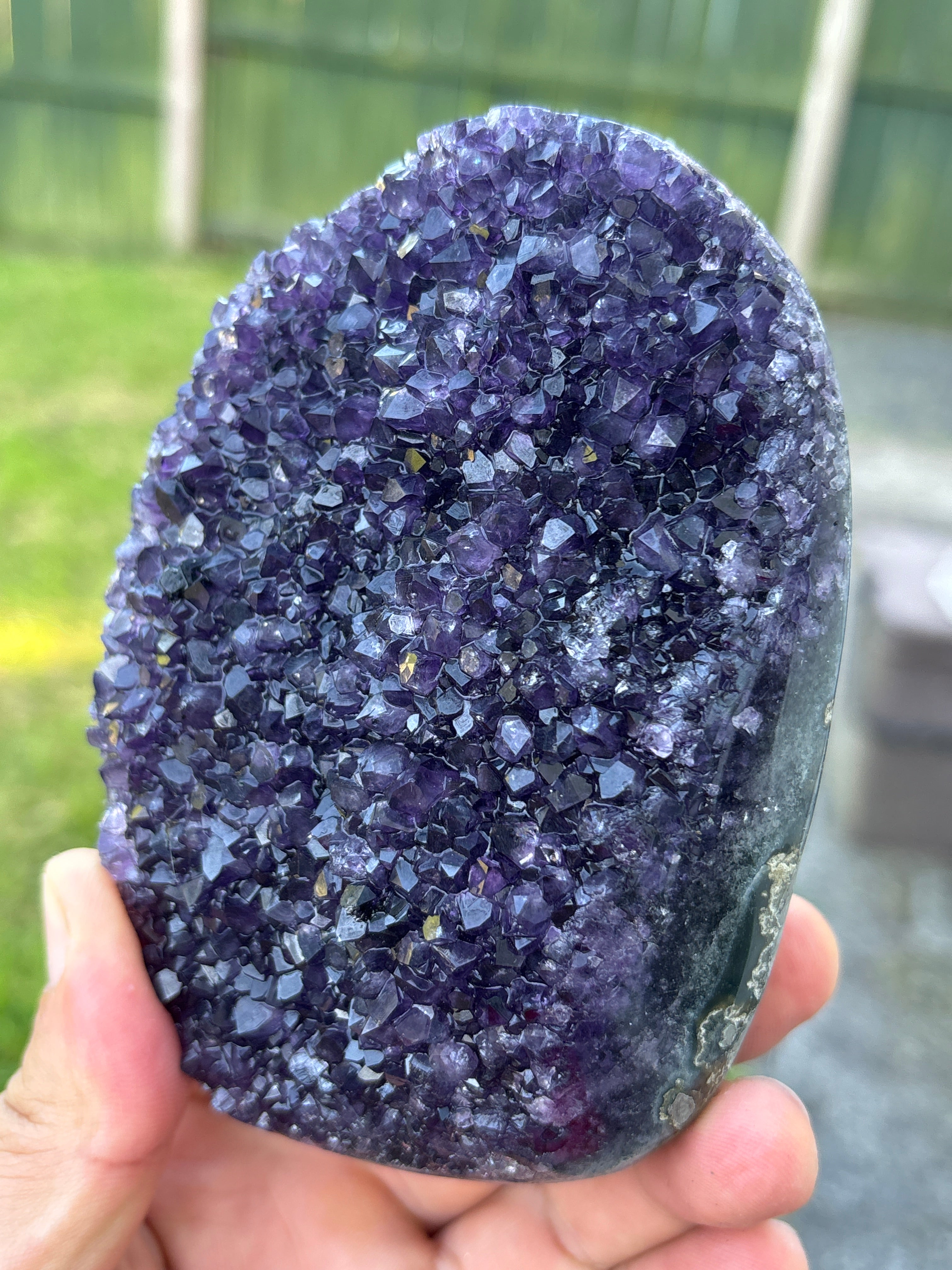 Natural Amethyst Geode on Stand | Premium Brazilian Crystal Display | Large Collector Mineral | Luxury Home Decor