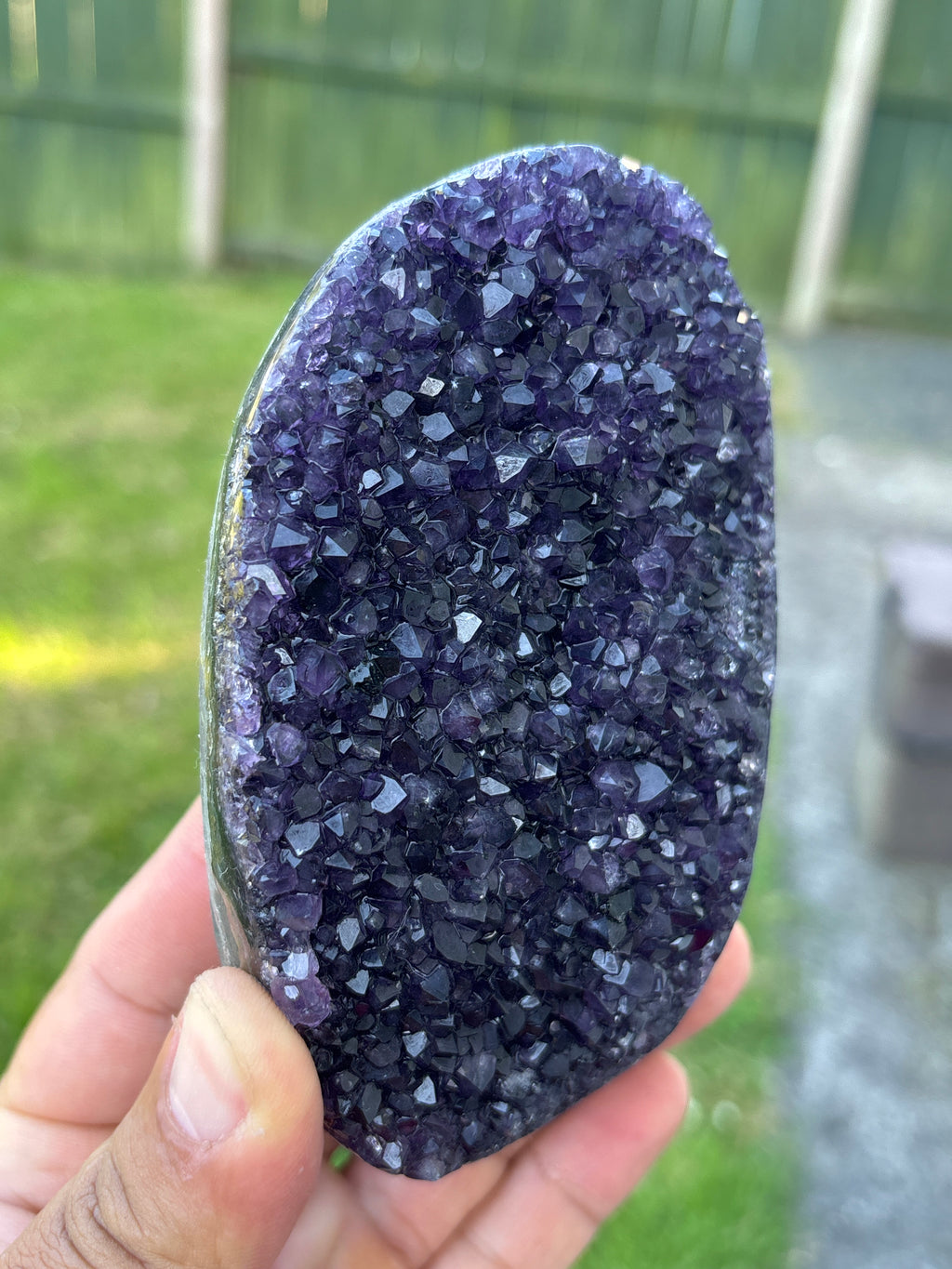 Natural Amethyst Geode on Stand | Premium Brazilian Crystal Display | Large Collector Mineral | Luxury Home Decor