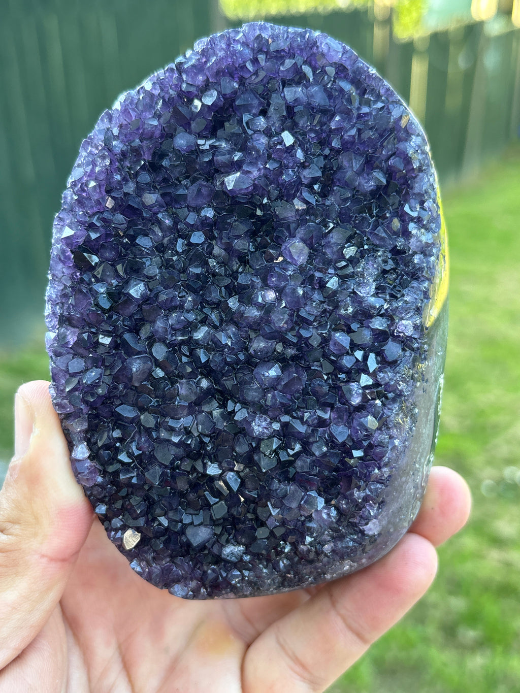 Natural Amethyst Geode on Stand | Premium Brazilian Crystal Display | Large Collector Mineral | Luxury Home Decor