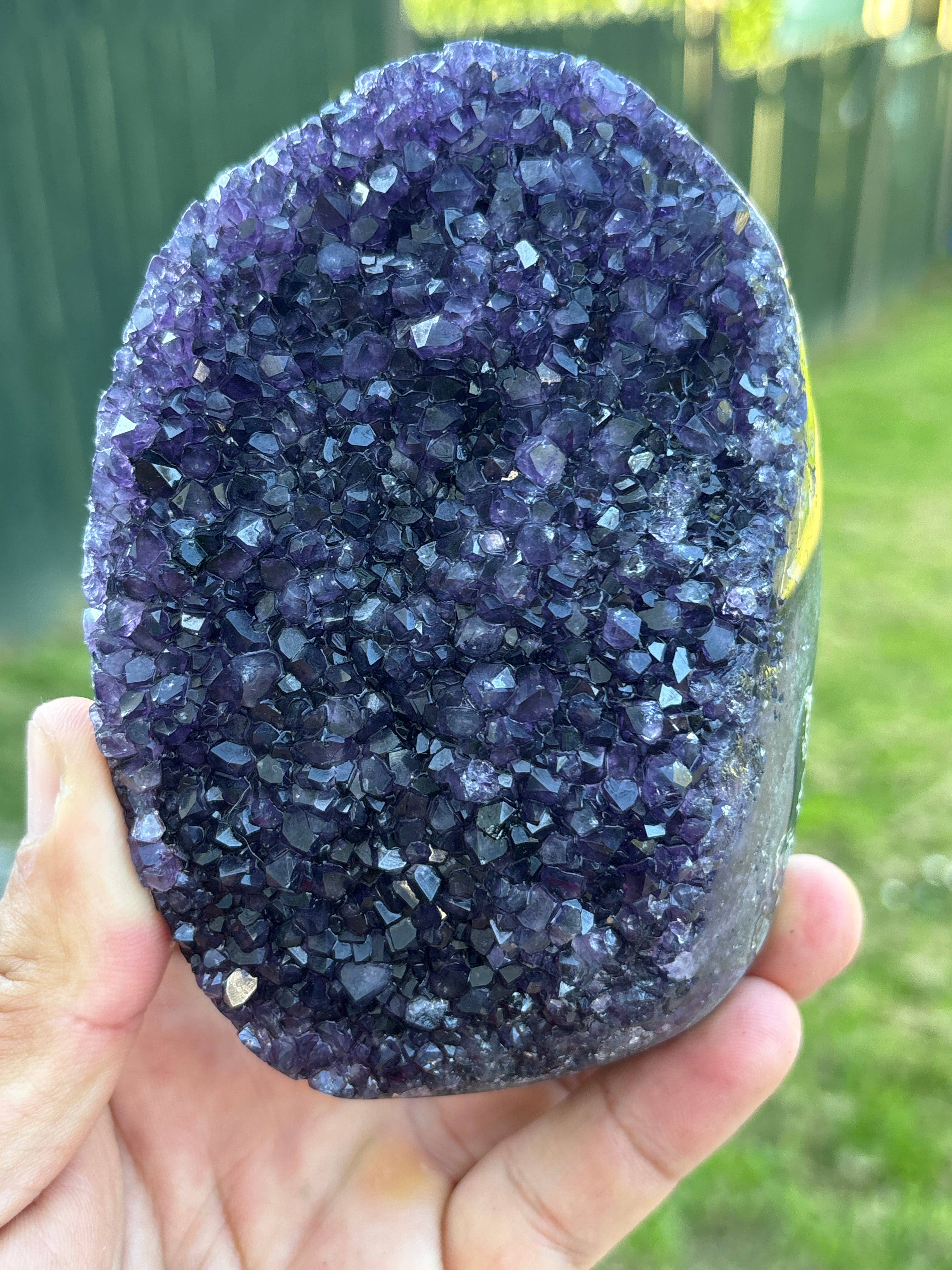 Natural Amethyst Geode on Stand | Premium Brazilian Crystal Display | Large Collector Mineral | Luxury Home Decor