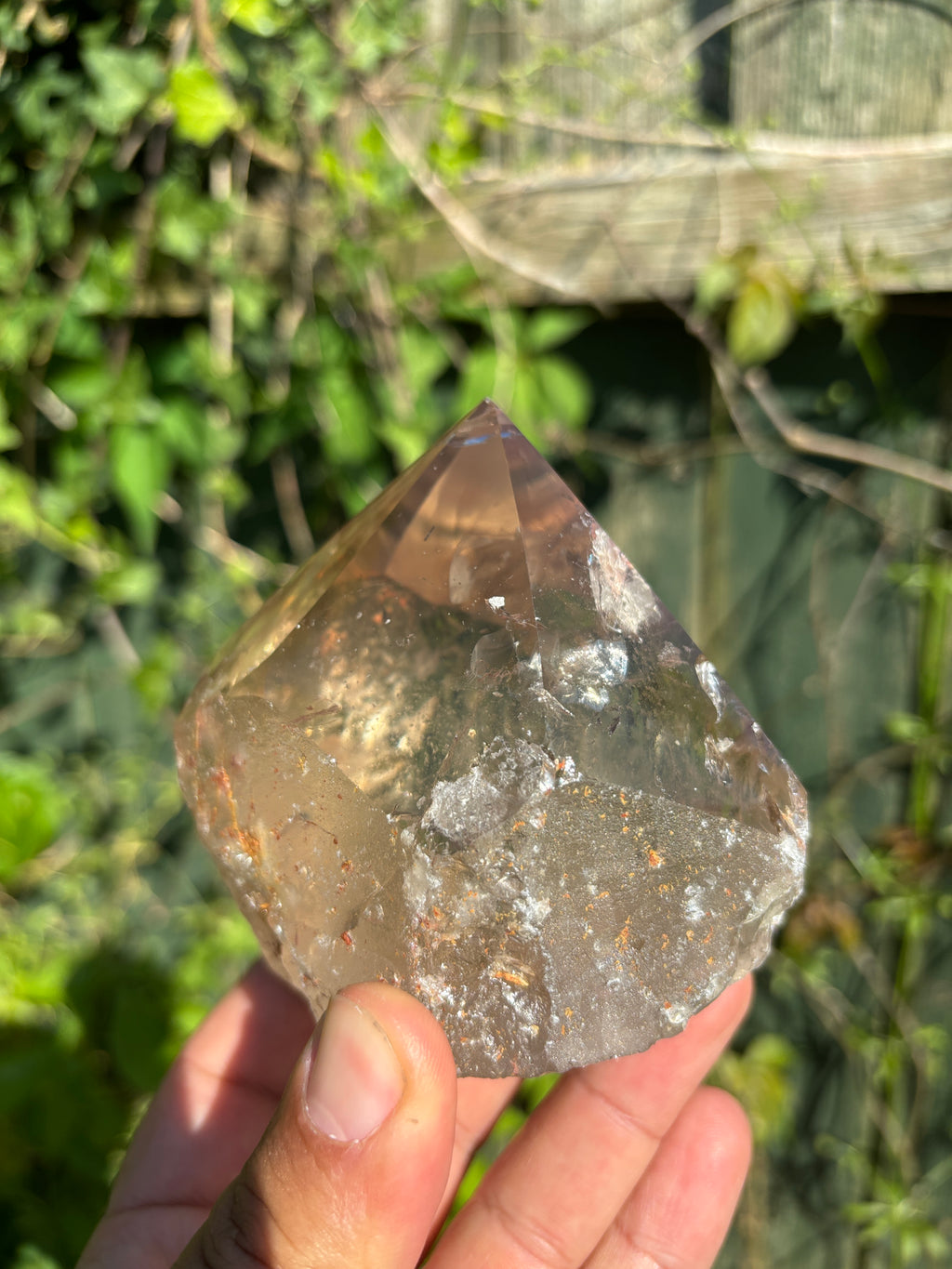 Smoky Quartz Cut Base | Extra Quality Brazilian Crystal | Polished Free Standing Mineral Specimen | Home Decor