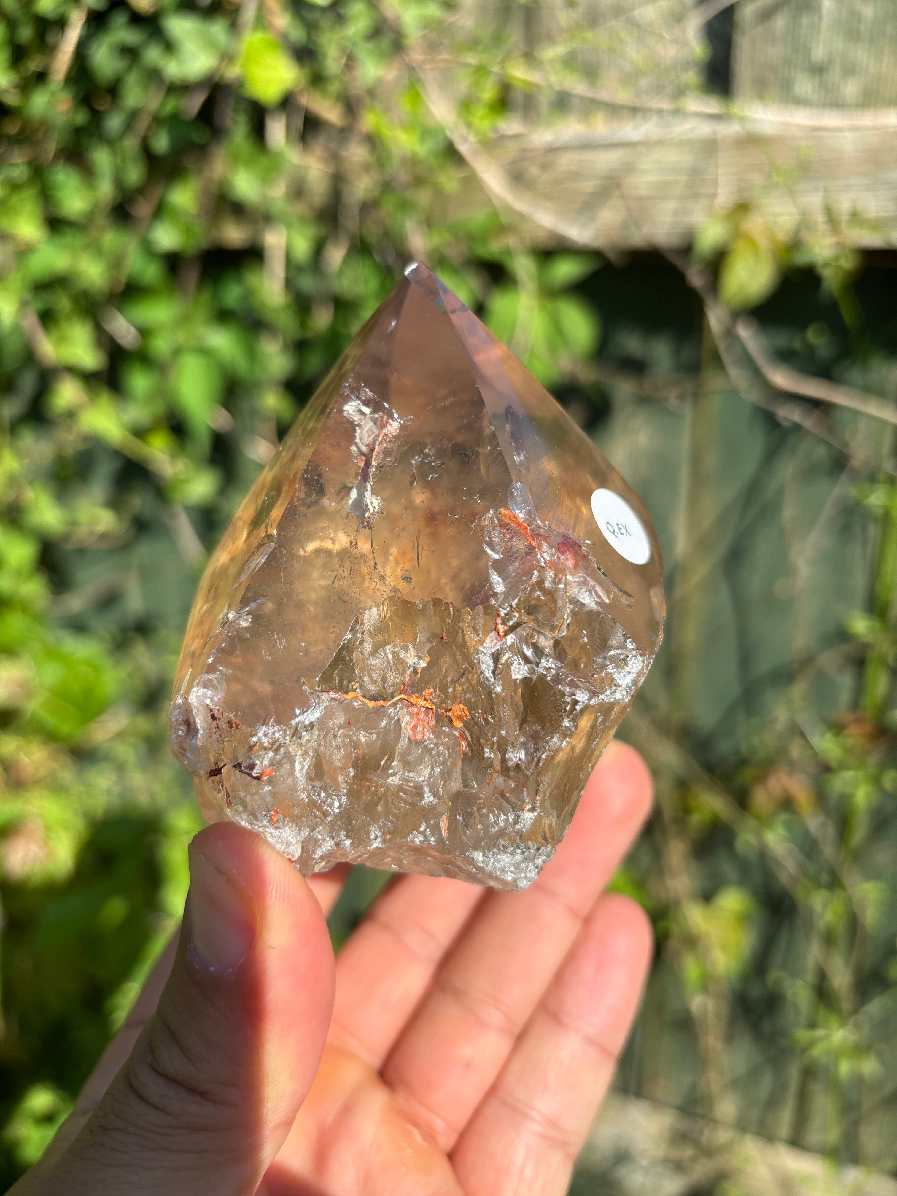 Smoky Quartz Cut Base | Extra Quality Brazilian Crystal | Polished Free Standing Mineral Specimen | Home Decor