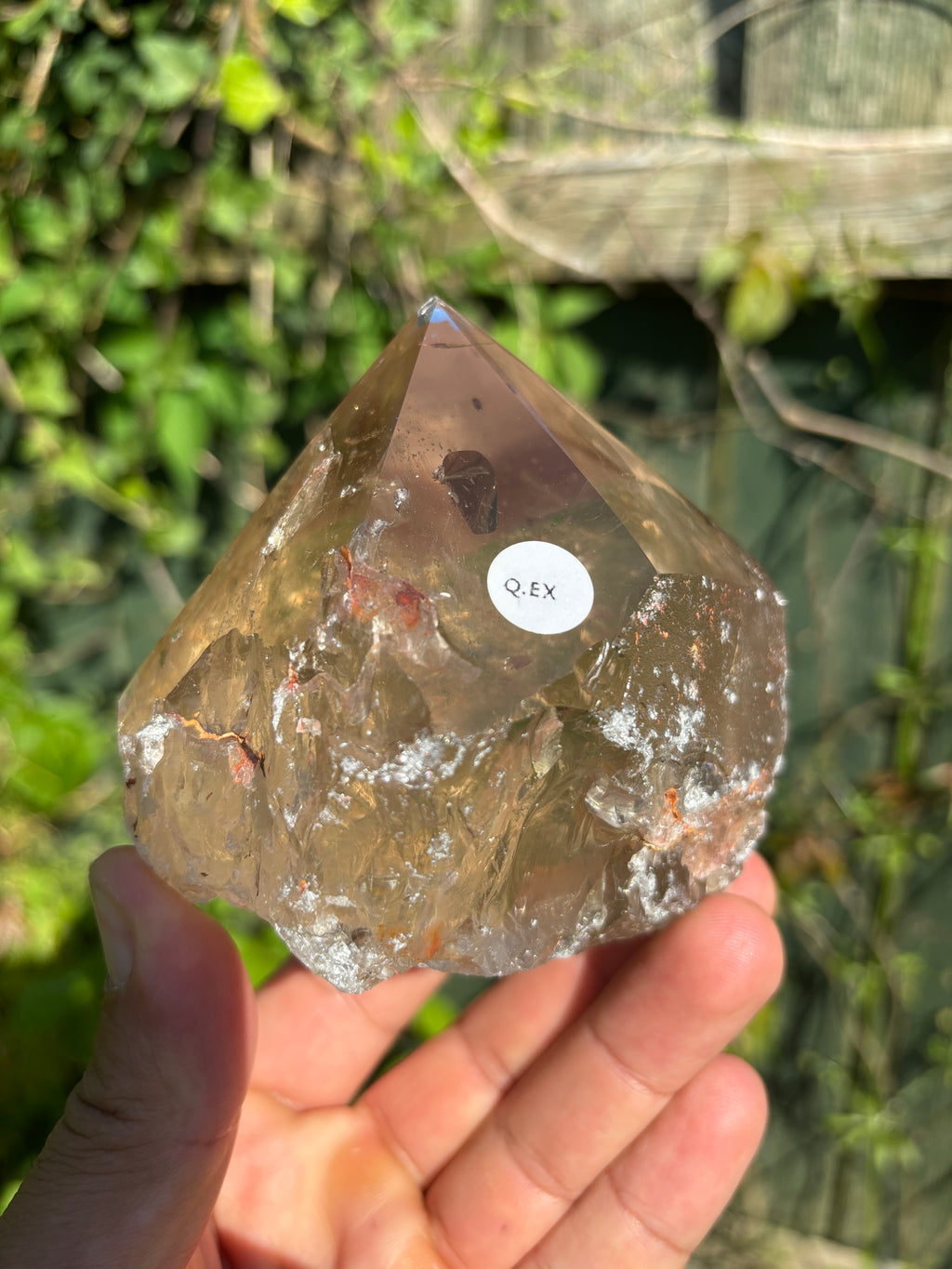 Smoky Quartz Cut Base | Extra Quality Brazilian Crystal | Polished Free Standing Mineral Specimen | Home Decor
