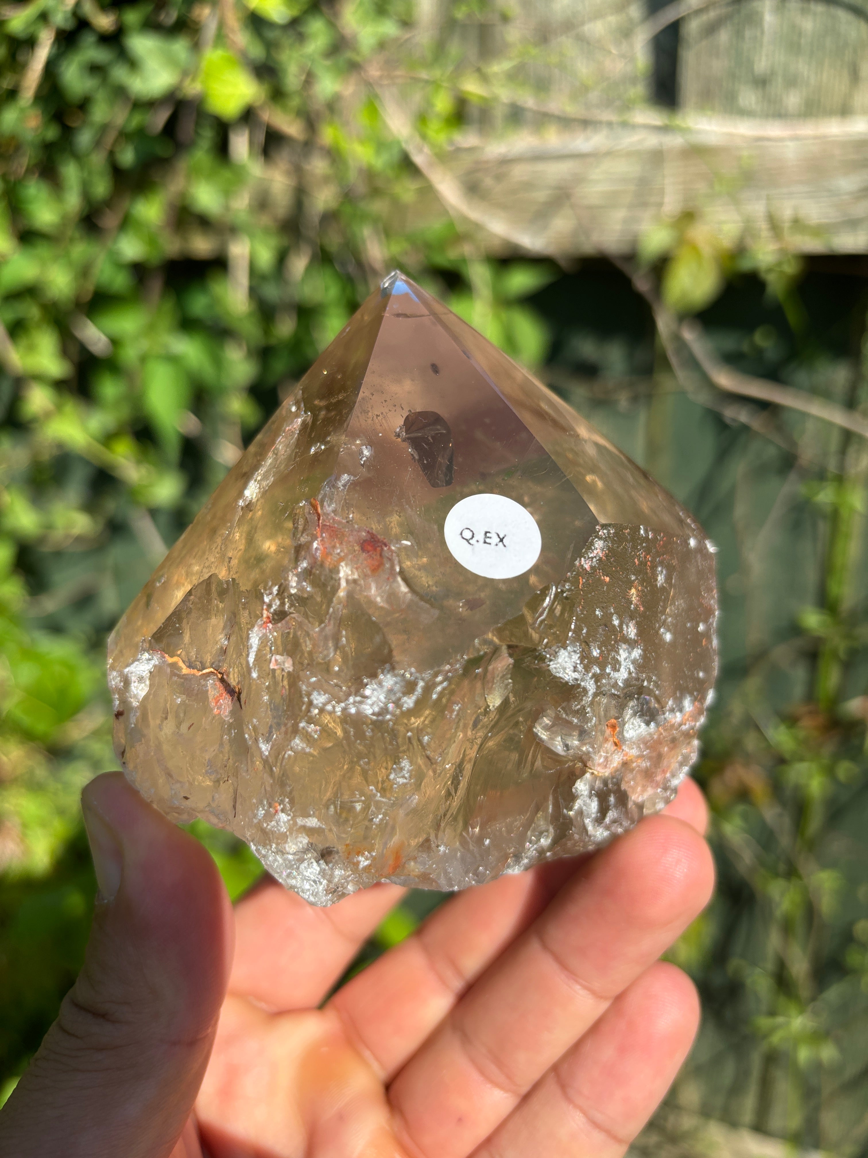 Smoky Quartz Cut Base | Extra Quality Brazilian Crystal | Polished Free Standing Mineral Specimen | Home Decor