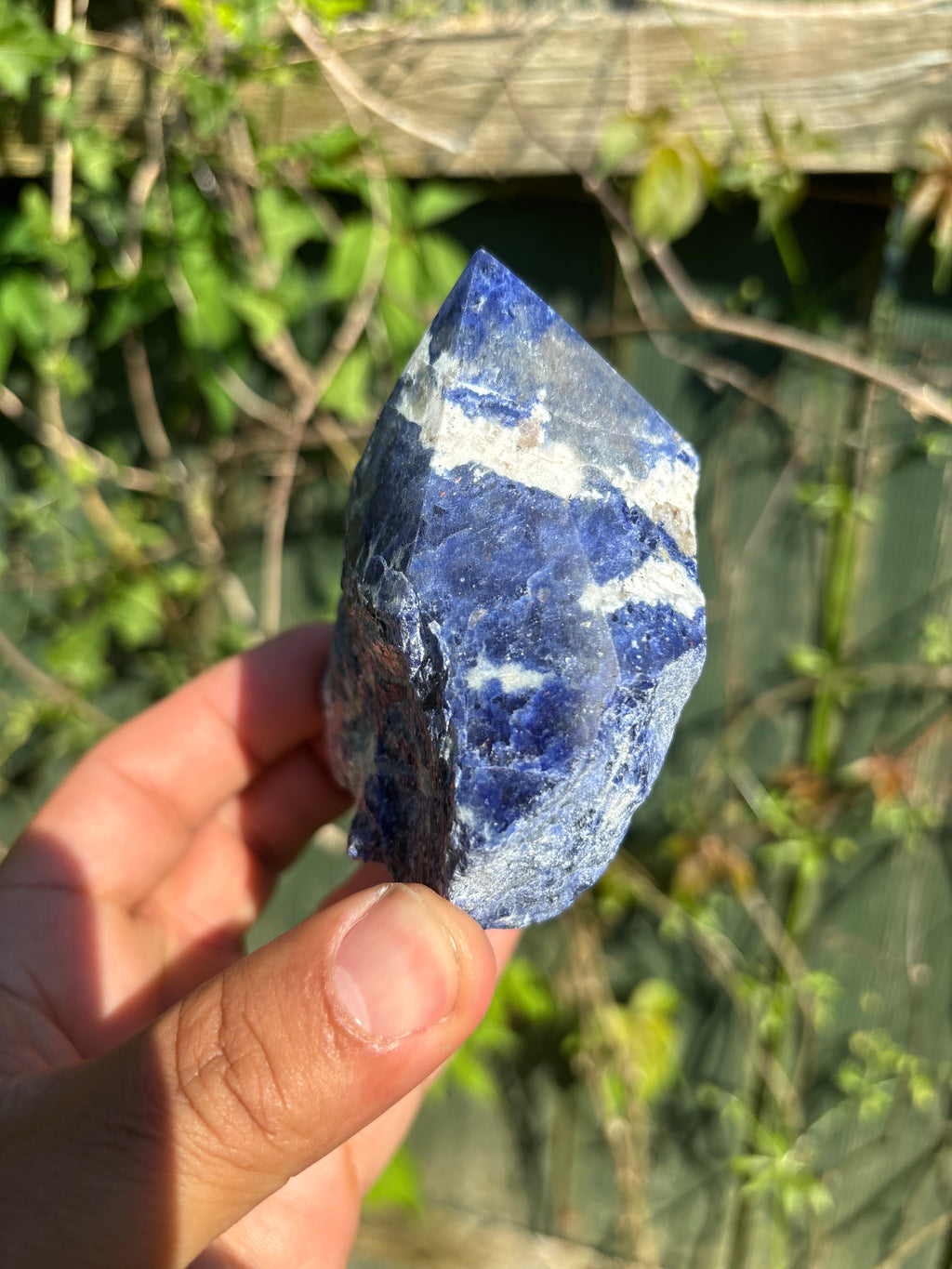 Sodalite Cut Base | Extra Quality Polished Crystal | Free Standing Mineral Specimen | Luxury Home Decor