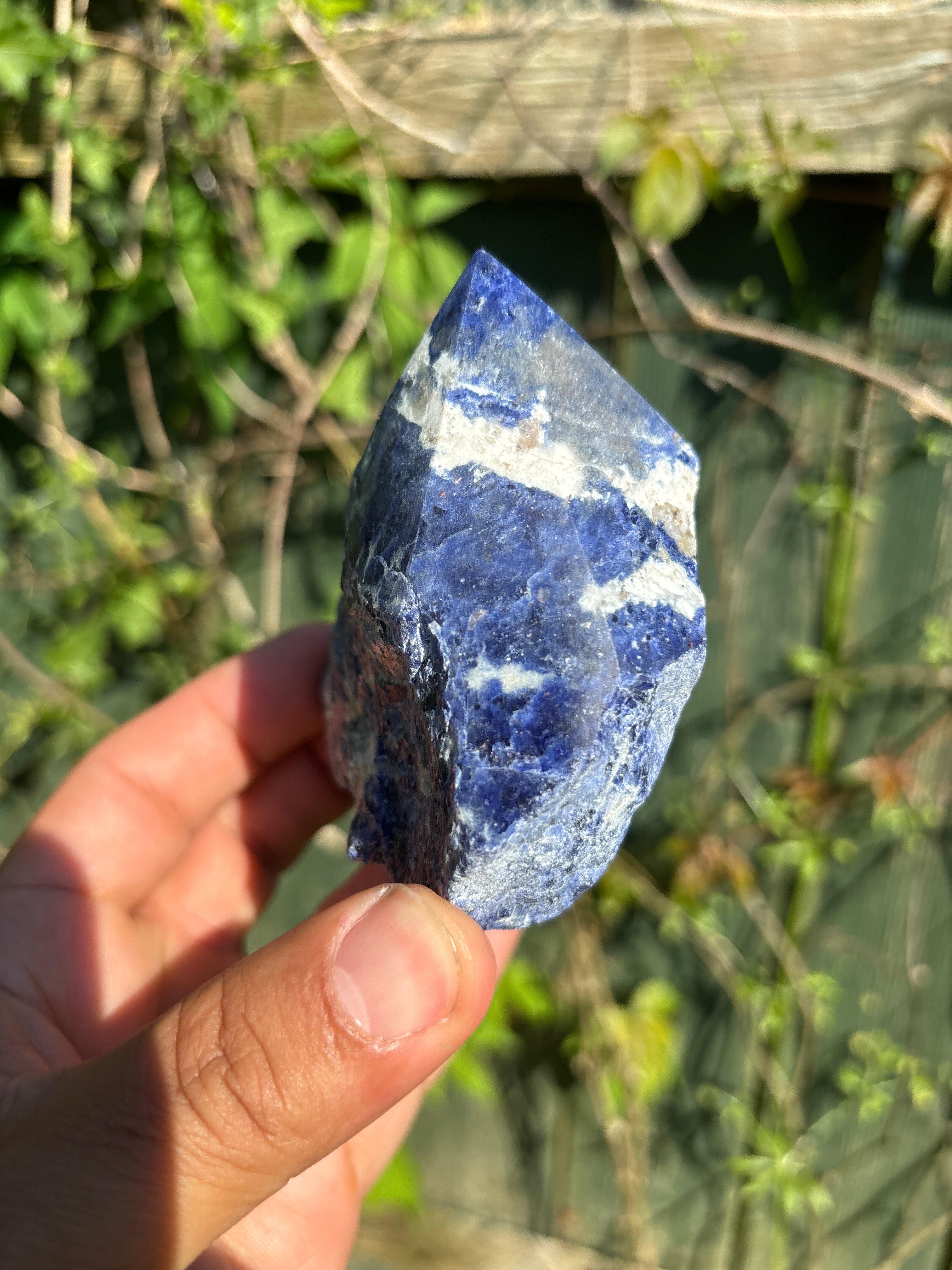 Sodalite Cut Base | Extra Quality Polished Crystal | Free Standing Mineral Specimen | Luxury Home Decor