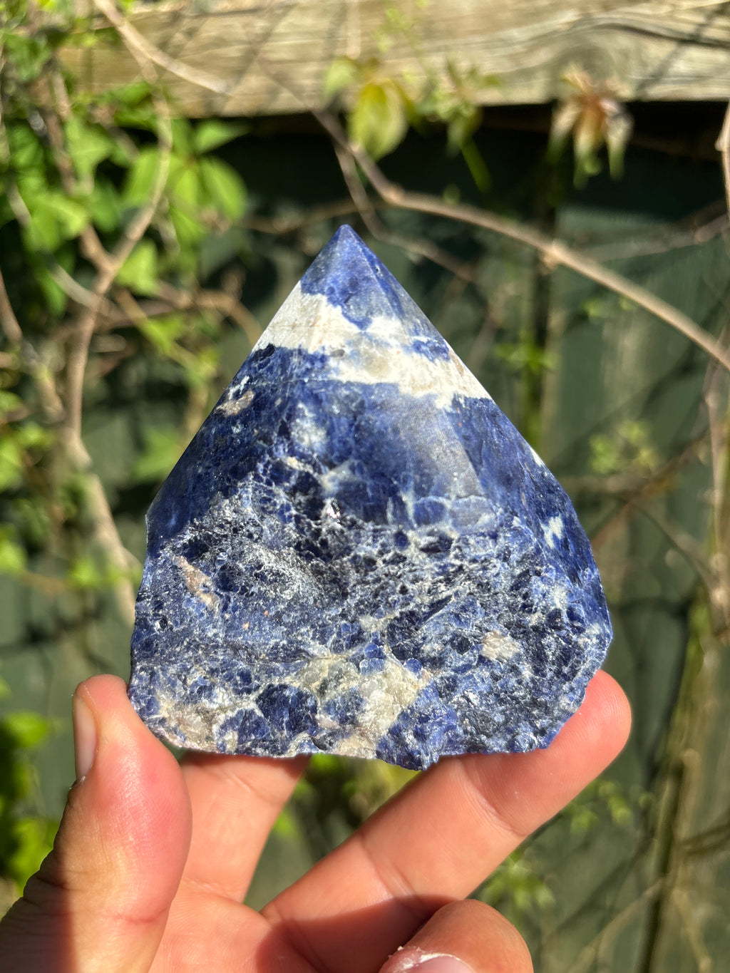 Sodalite Cut Base | Extra Quality Polished Crystal | Free Standing Mineral Specimen | Luxury Home Decor