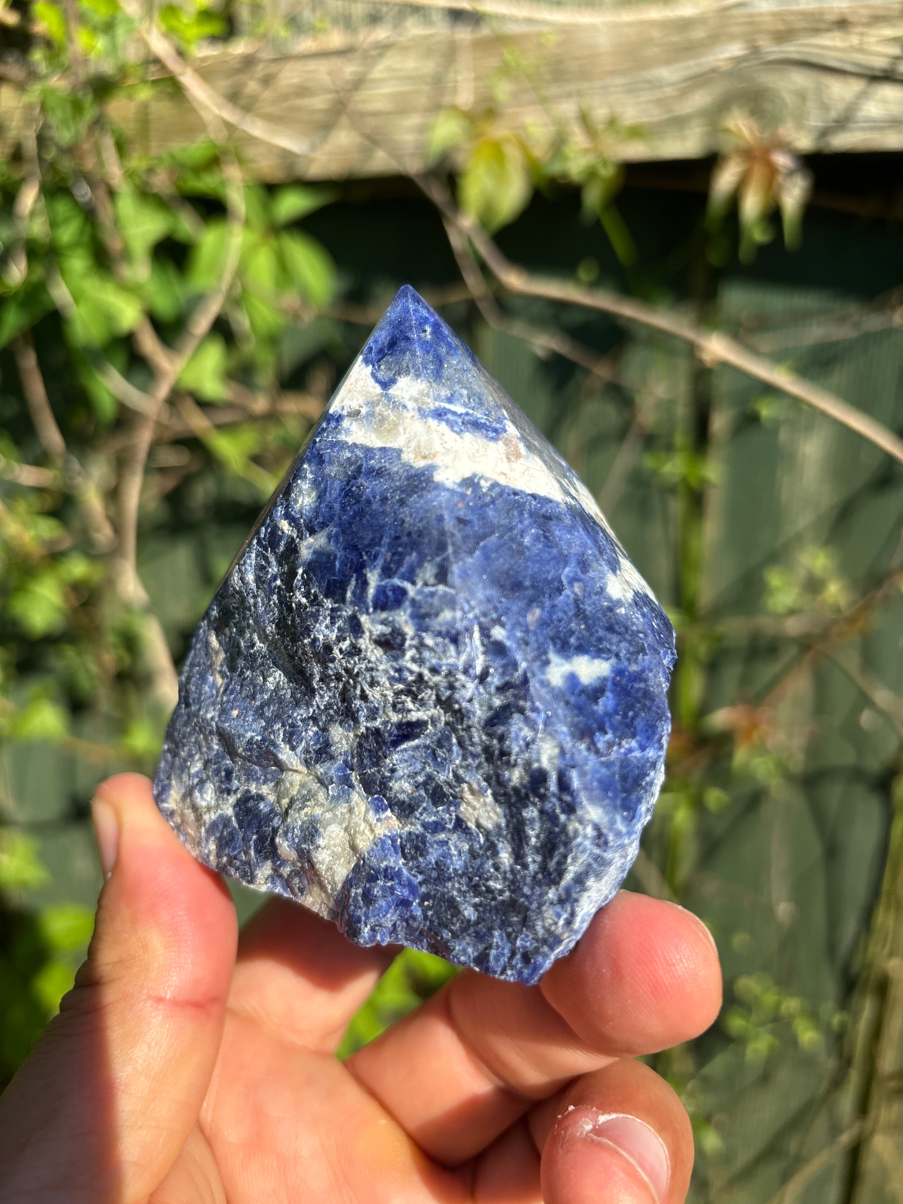 Sodalite Cut Base | Extra Quality Polished Crystal | Free Standing Mineral Specimen | Luxury Home Decor