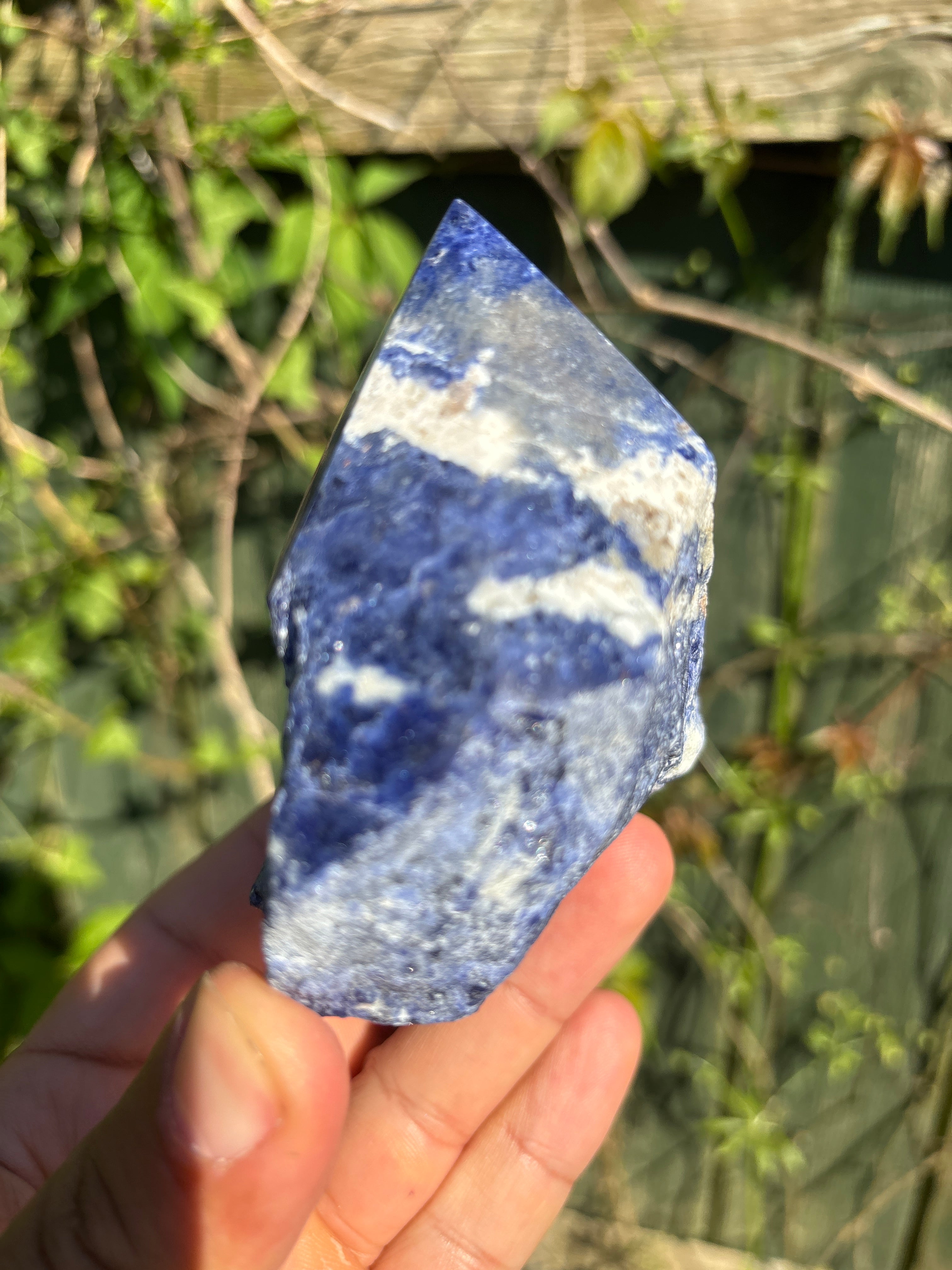 Sodalite Cut Base | Extra Quality Polished Crystal | Free Standing Mineral Specimen | Luxury Home Decor