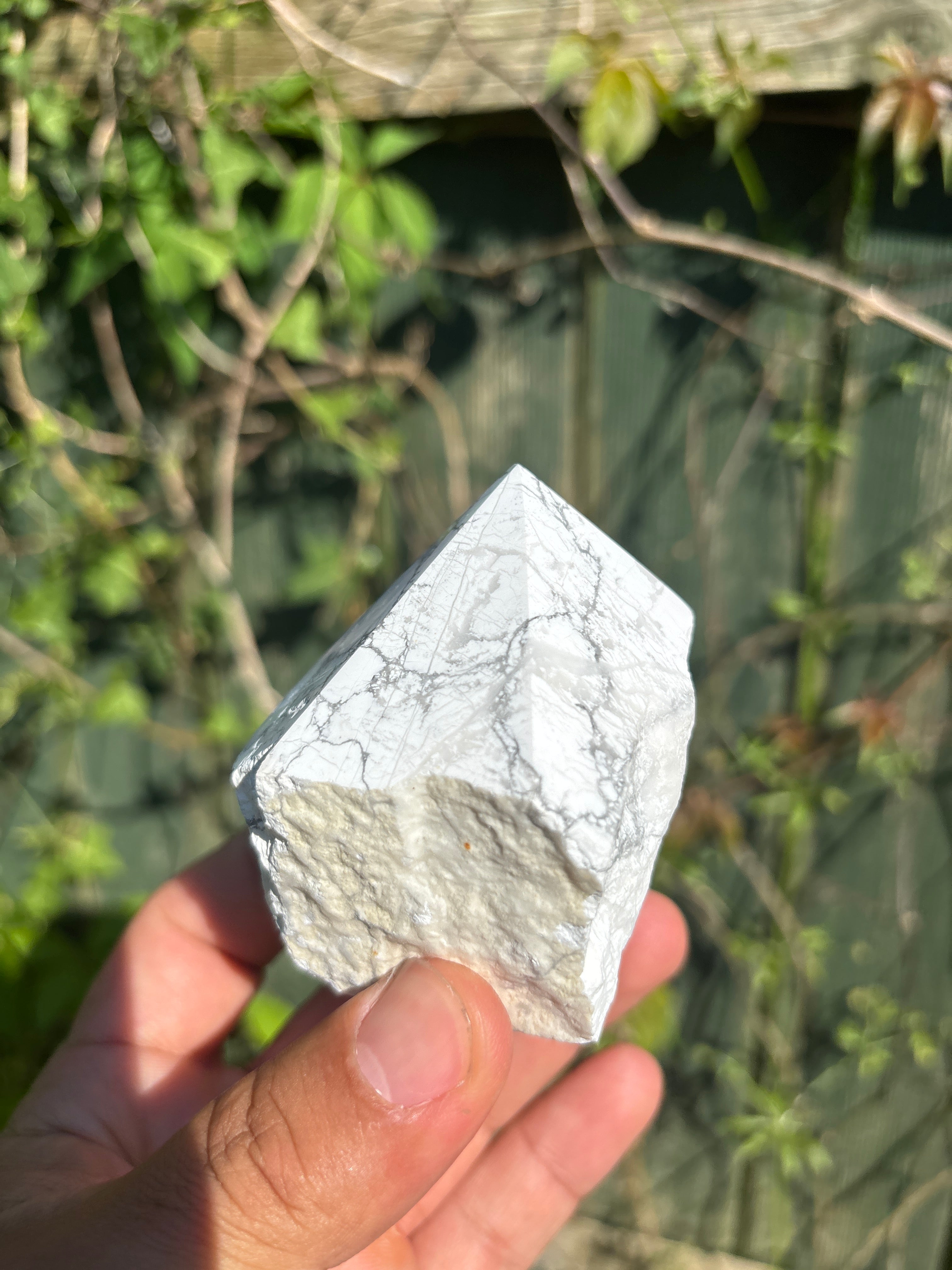 Natural Howlite Cut Base | Polished White Mineral Specimen | Free Standing Collector Crystal | Luxury Home Decor