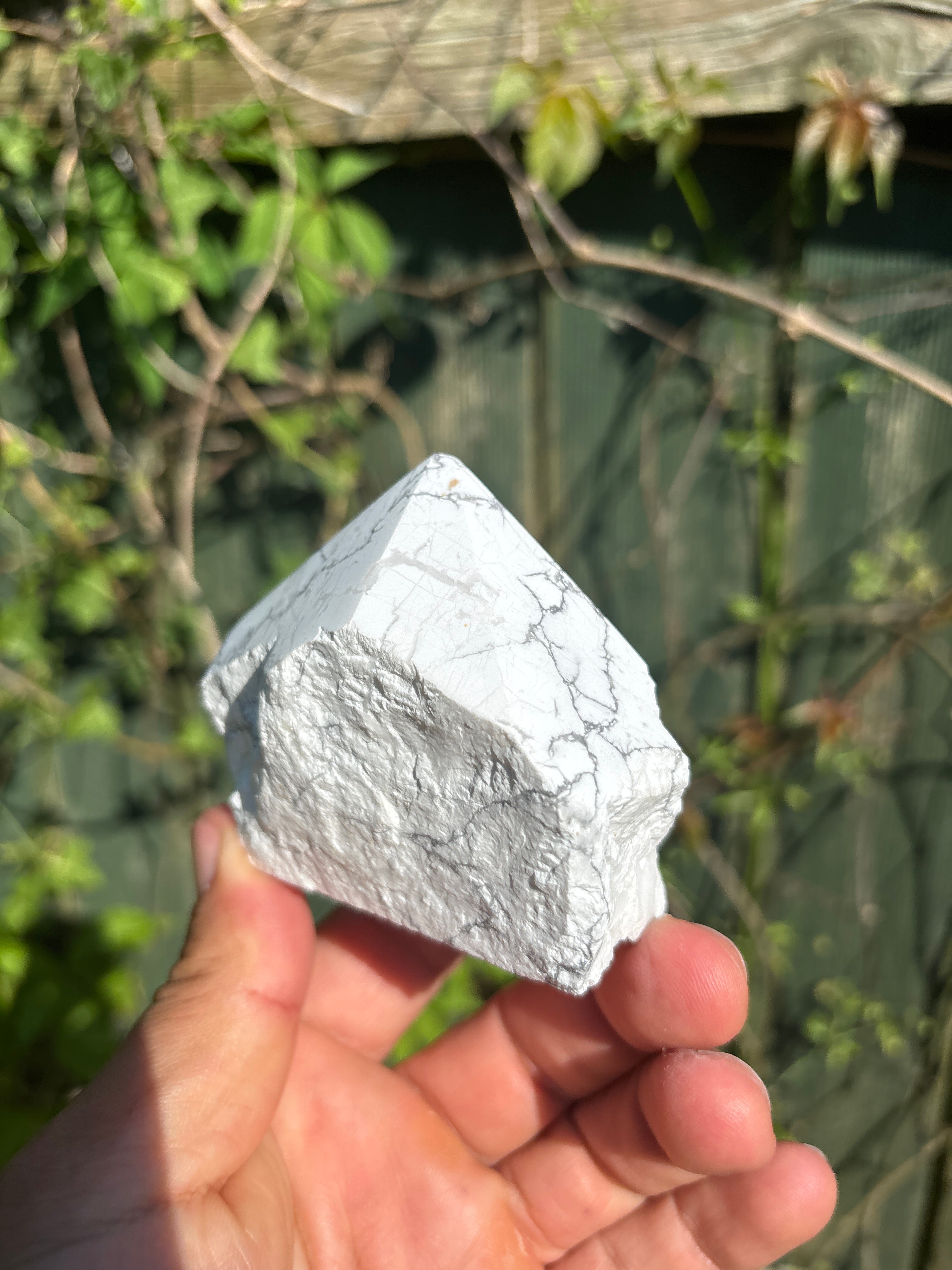 Natural Howlite Cut Base | Polished White Mineral Specimen | Free Standing Collector Crystal | Luxury Home Decor