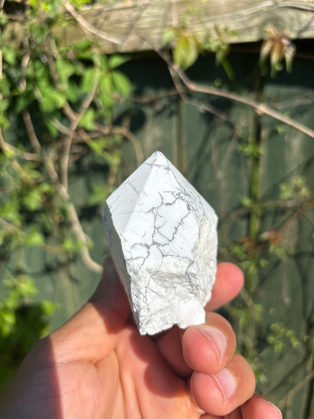Natural Howlite Cut Base | Polished White Mineral Specimen | Free Standing Collector Crystal | Luxury Home Decor