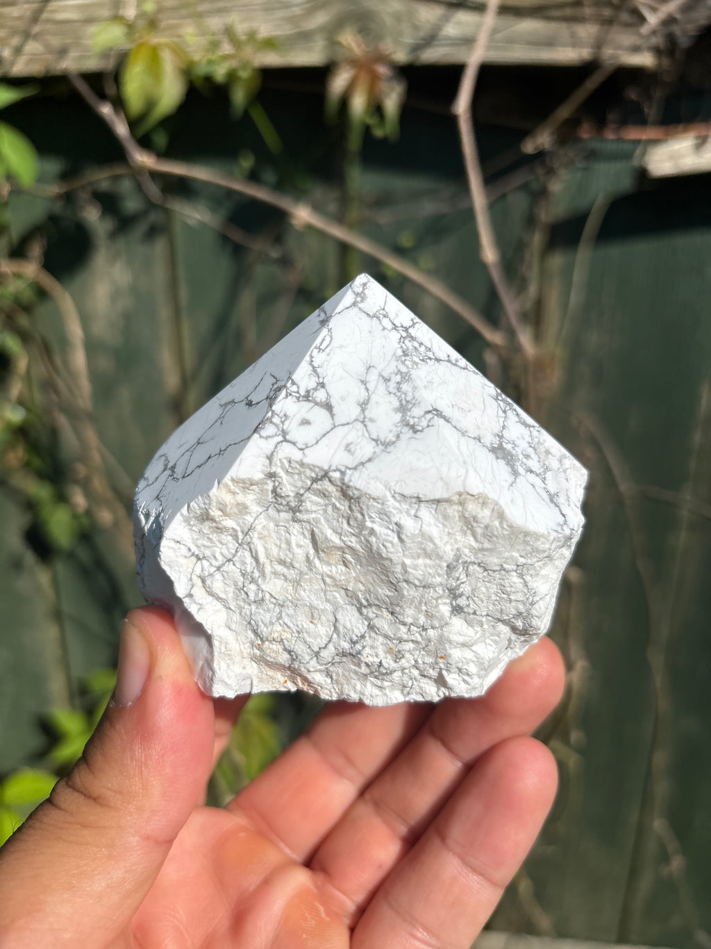 Natural Howlite Cut Base | Polished White Mineral Specimen | Free Standing Collector Crystal | Luxury Home Decor