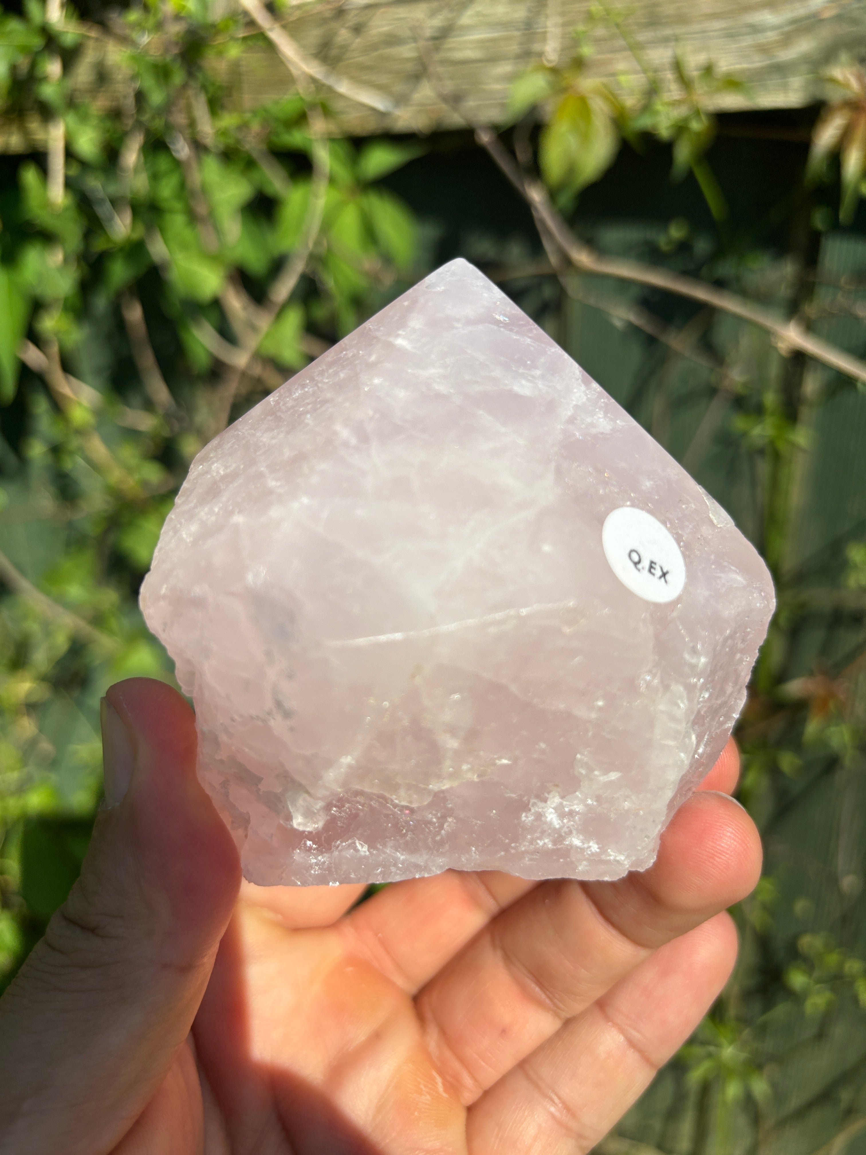 Rose Quartz Cut Base | Natural Brazilian Pink Crystal | Polished Free Standing Mineral Specimen | Home Decor