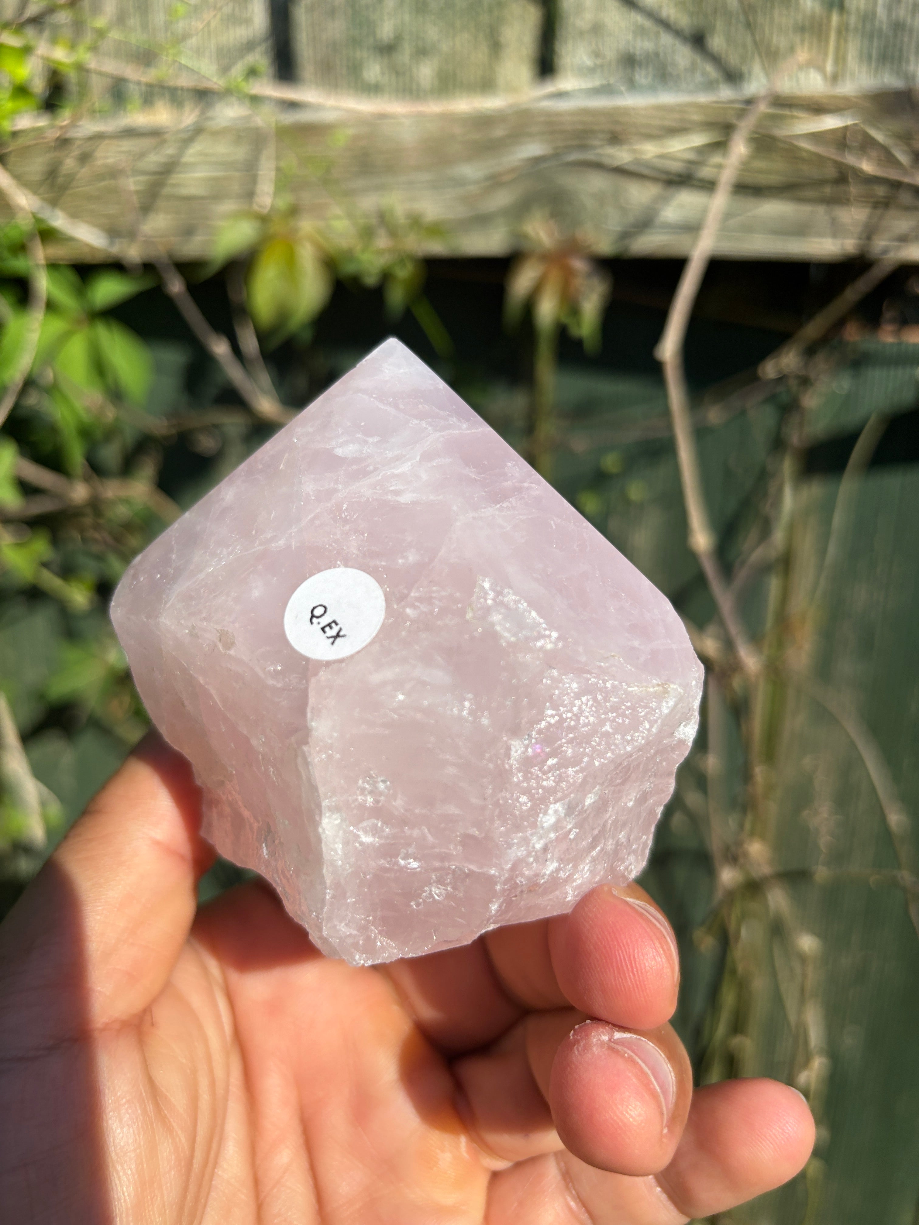 Rose Quartz Cut Base | Natural Brazilian Pink Crystal | Polished Free Standing Mineral Specimen | Home Decor