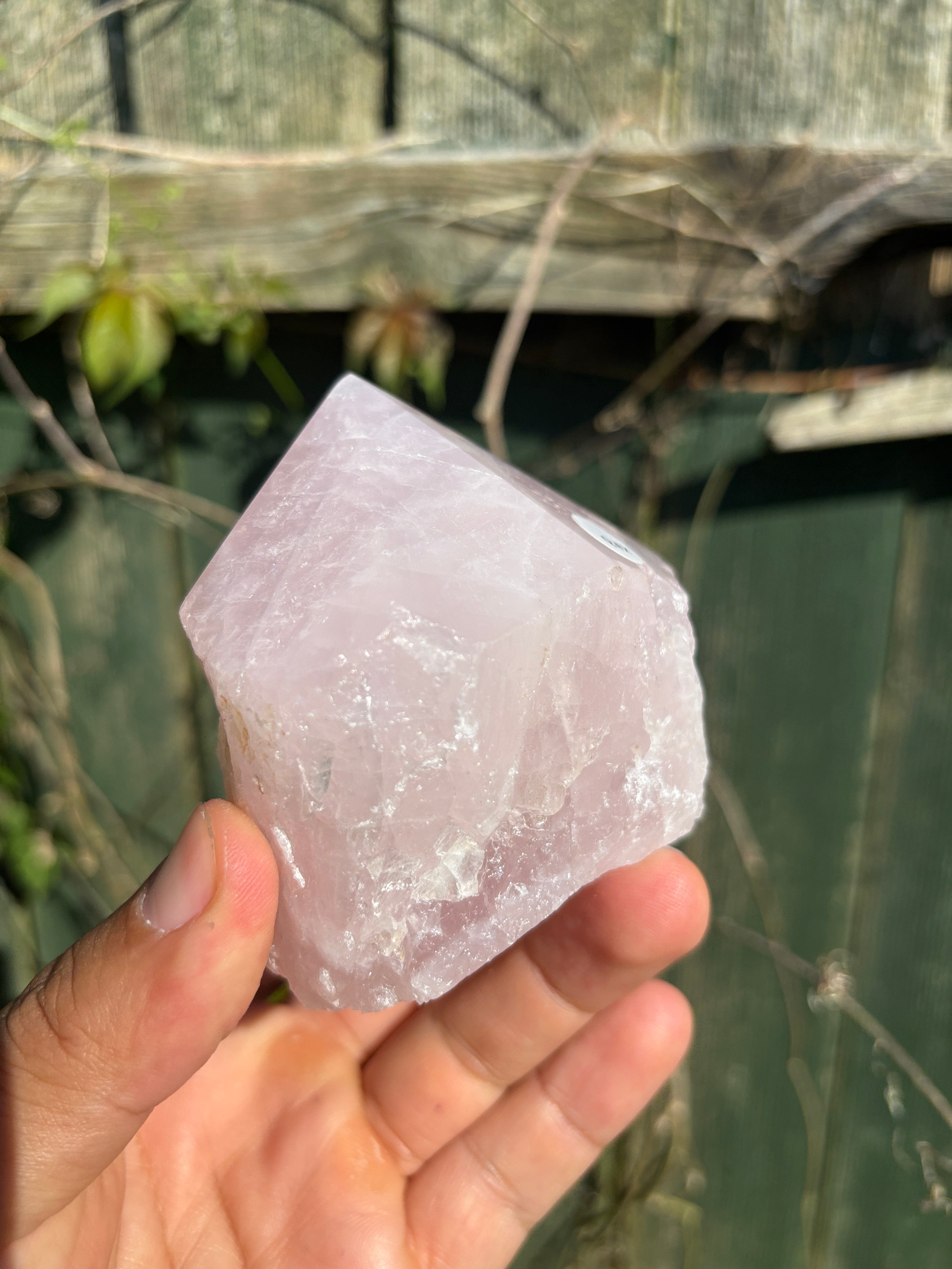 Rose Quartz Cut Base | Natural Brazilian Pink Crystal | Polished Free Standing Mineral Specimen | Home Decor