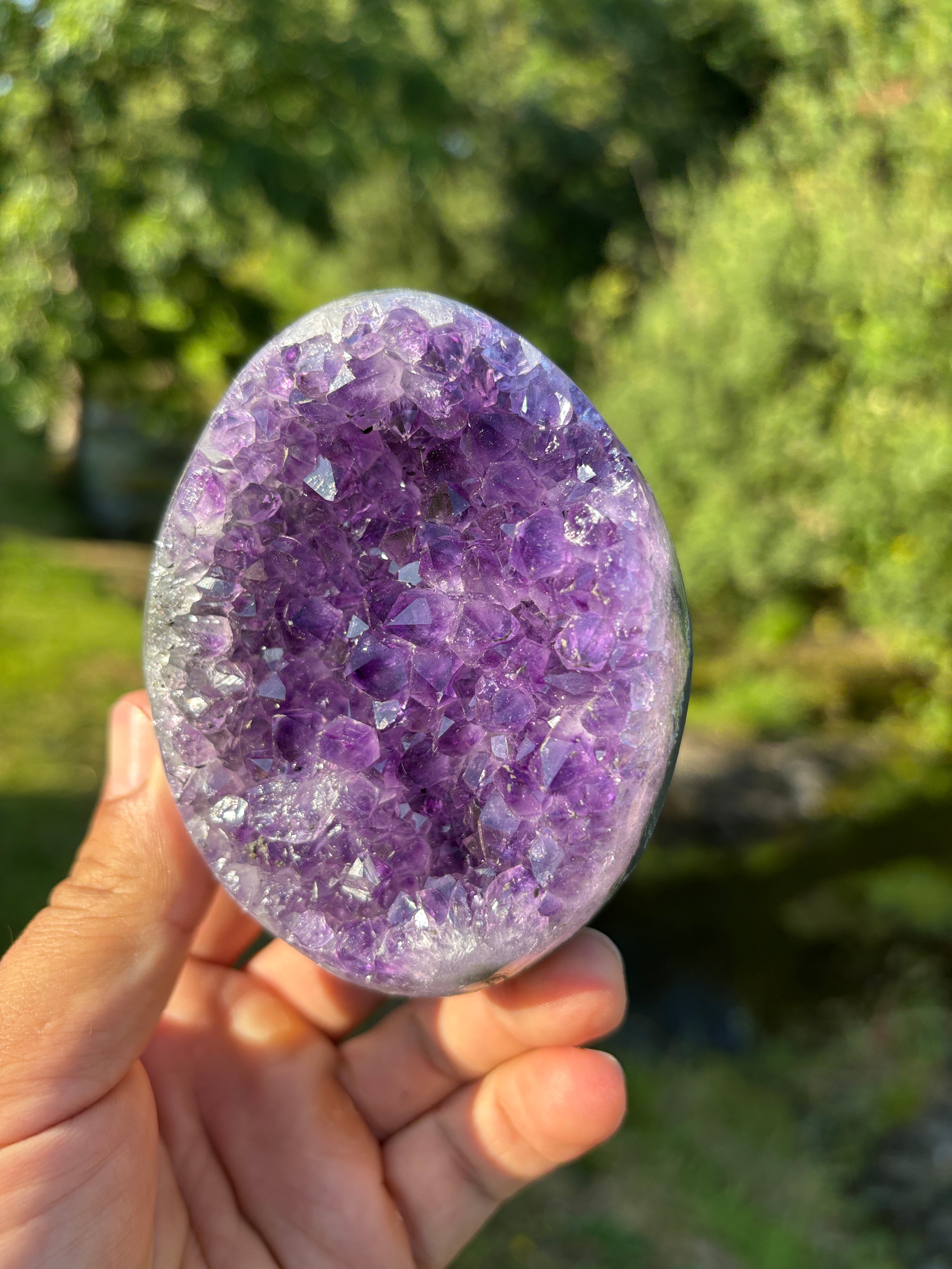 Stunning Egg Shape Amethyst Geode | Extra Quality Deep Purple Brazilian Crystal | Luxury Mineral Specimen