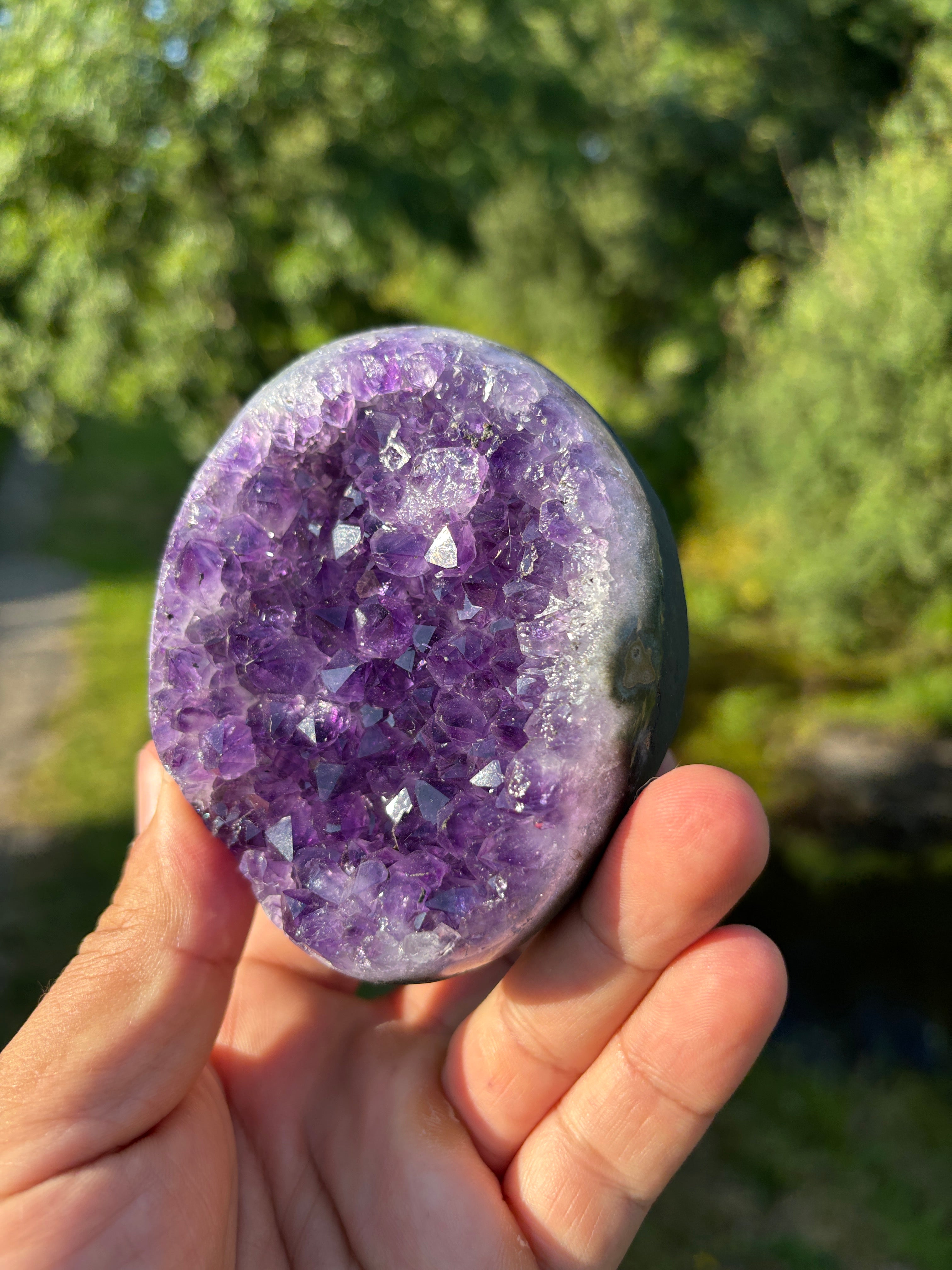 Stunning Egg Shape Amethyst Geode | Extra Quality Deep Purple Brazilian Crystal | Luxury Mineral Specimen