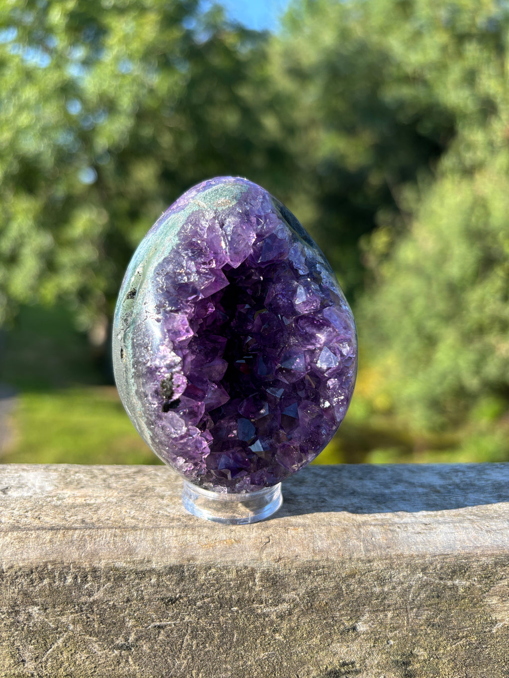 Stunning Egg Shape Amethyst Geode | Extra Quality Deep Purple Brazilian Crystal | Luxury Mineral Specimen