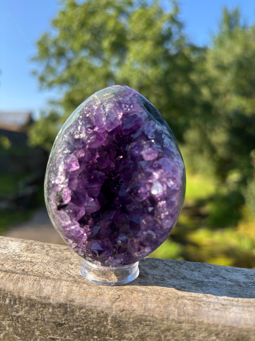 Stunning Egg Shape Amethyst Geode | Extra Quality Deep Purple Brazilian Crystal | Luxury Mineral Specimen
