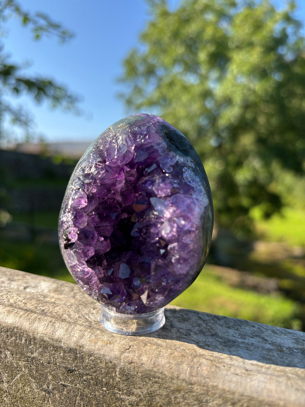 Stunning Egg Shape Amethyst Geode | Extra Quality Deep Purple Brazilian Crystal | Luxury Mineral Specimen