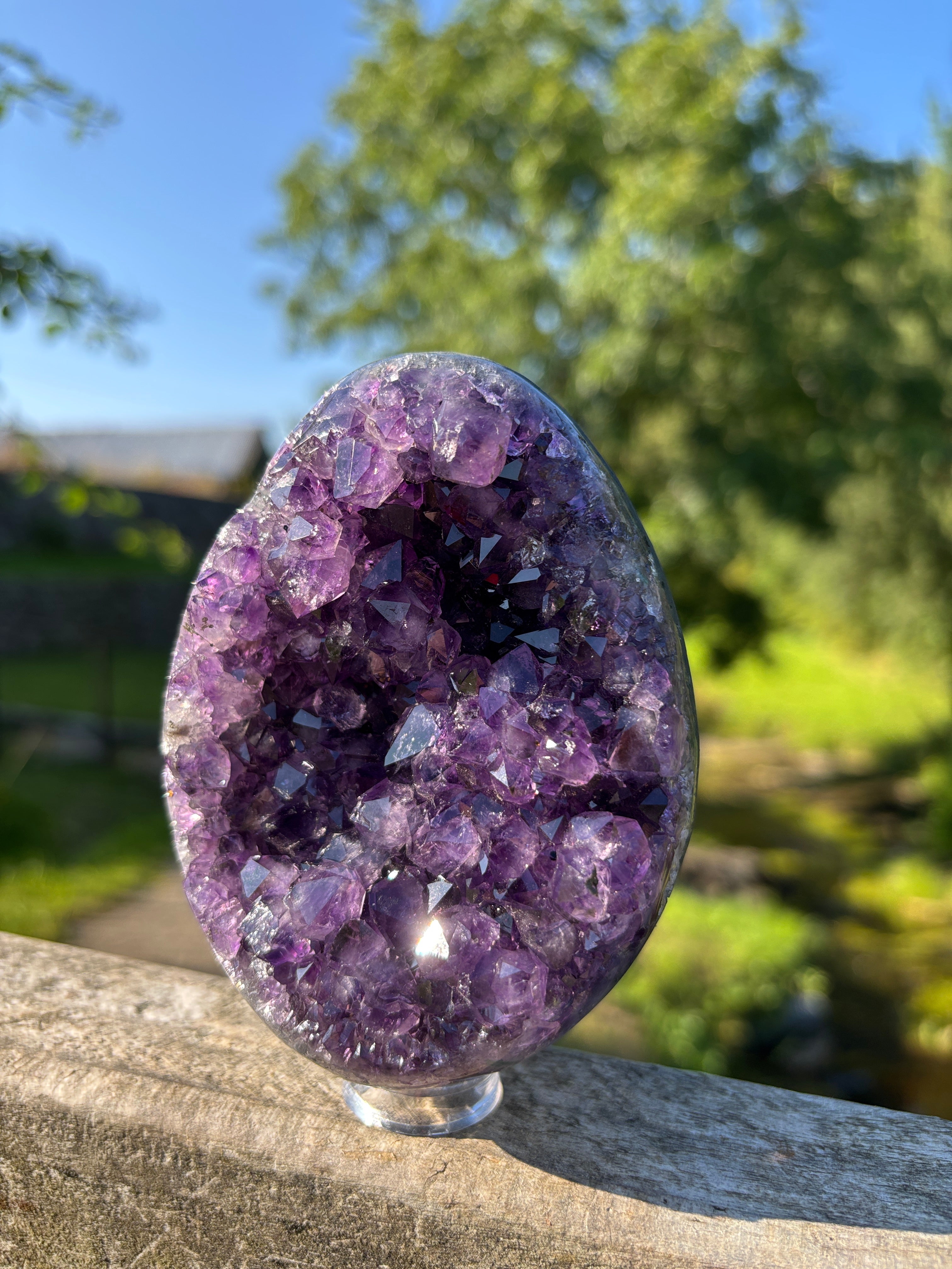 Stunning Egg Shape Amethyst Geode | Extra Quality Deep Purple Brazilian Crystal | Luxury Mineral Specimen