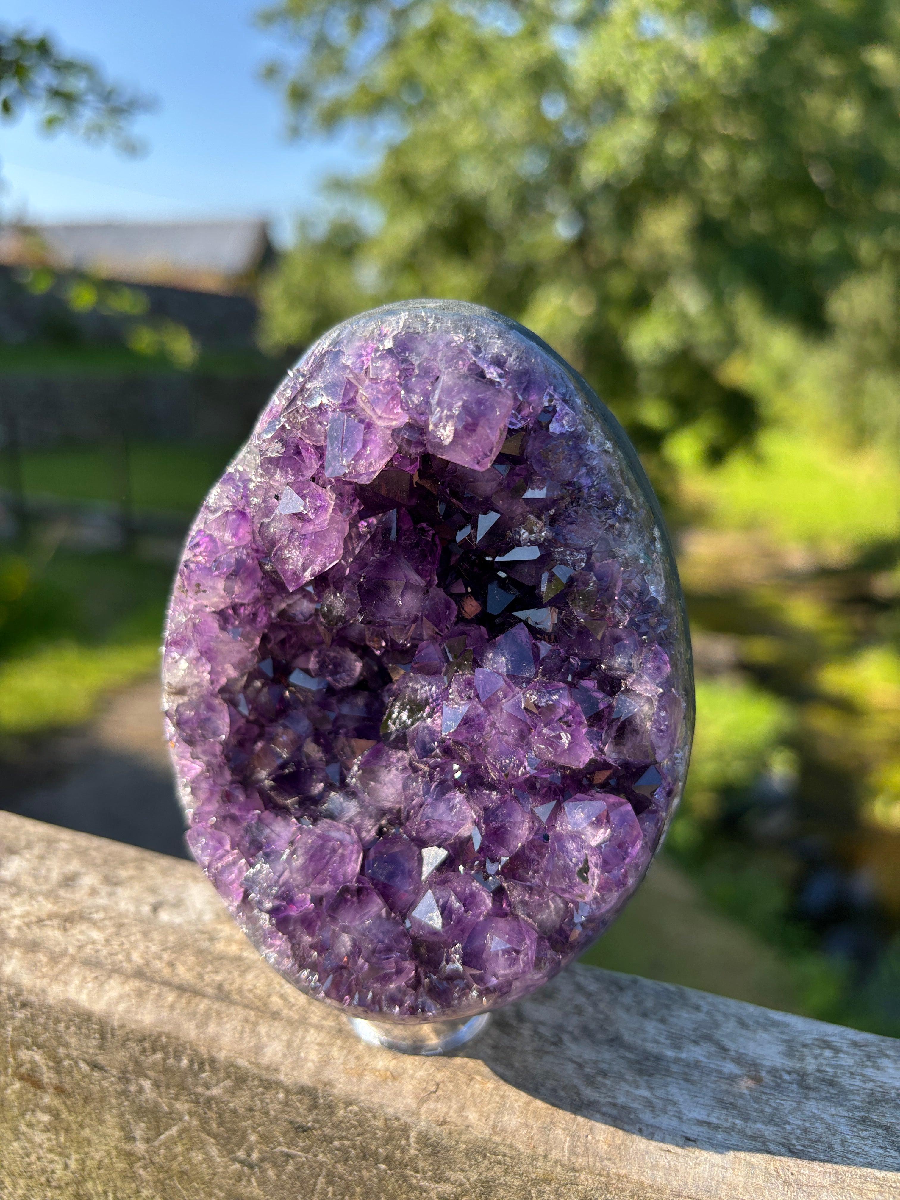Stunning Egg Shape Amethyst Geode | Extra Quality Deep Purple Brazilian Crystal | Luxury Mineral Specimen
