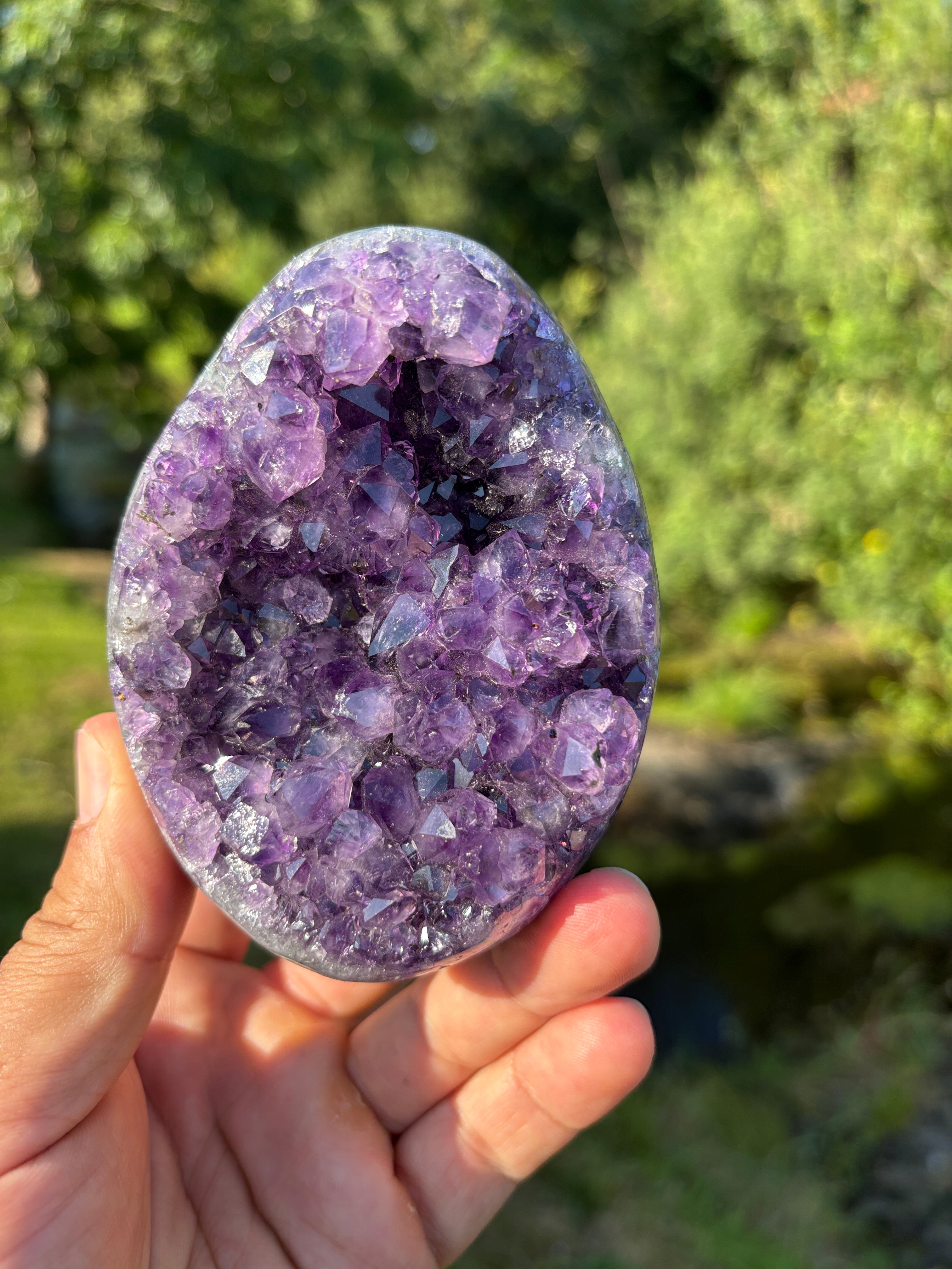Stunning Egg Shape Amethyst Geode | Extra Quality Deep Purple Brazilian Crystal | Luxury Mineral Specimen