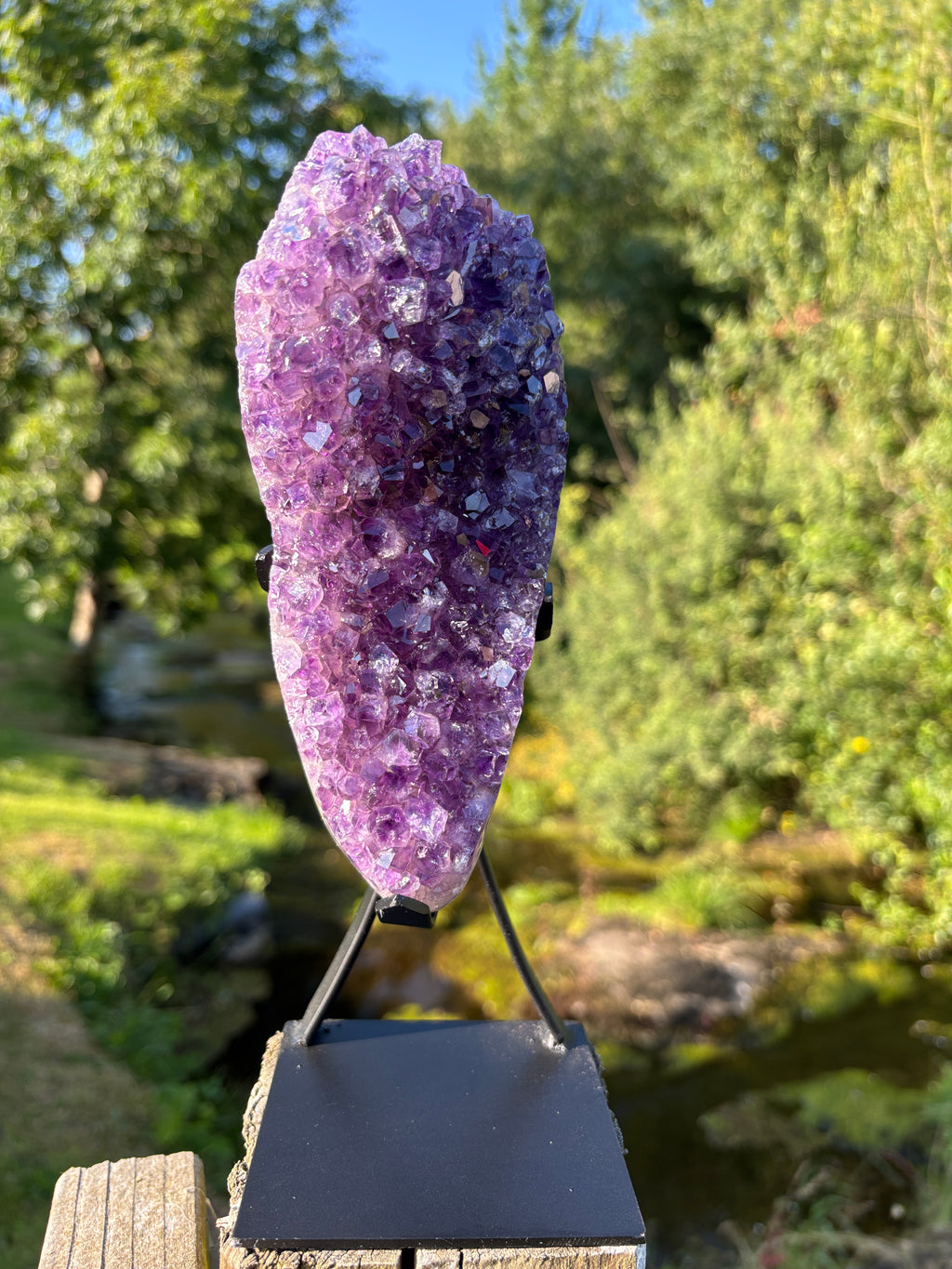 Extra Quality Amethyst Druzy Geode on Elegant Black Stand | Natural Brazilian Amethyst Cluster | Luxury Home Decor Crystal